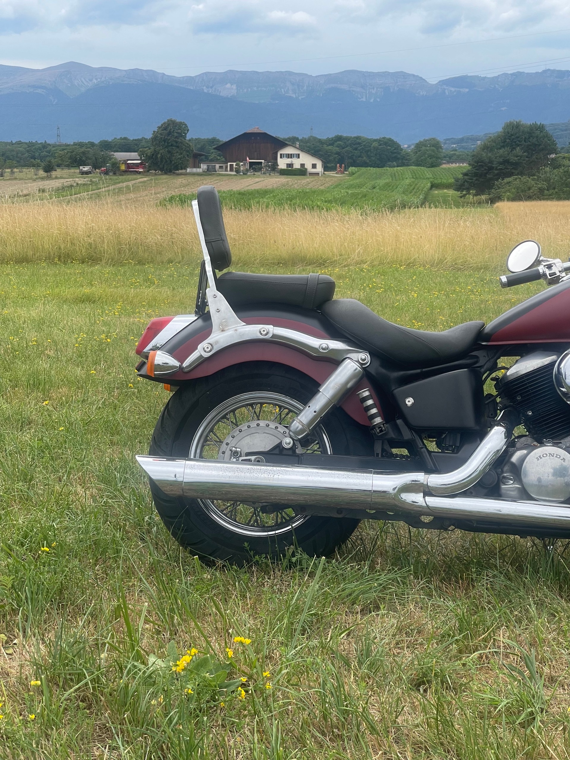HONDA VT 750 C Shadow-image-5