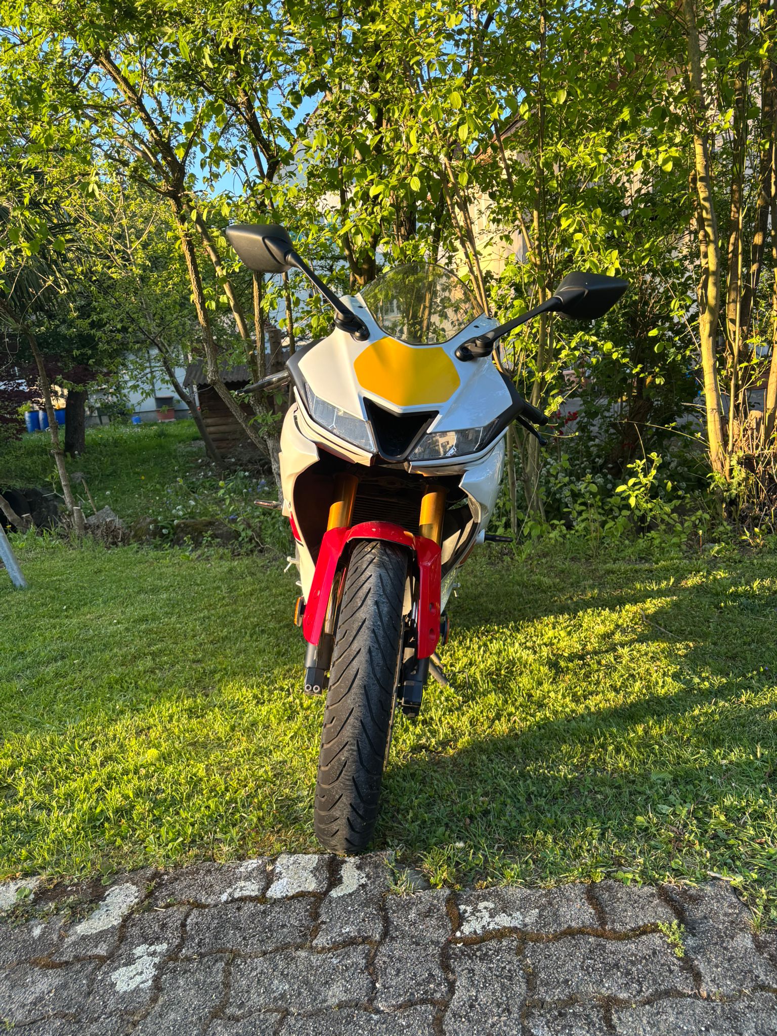 YAMAHA YZF-R 125-image-3