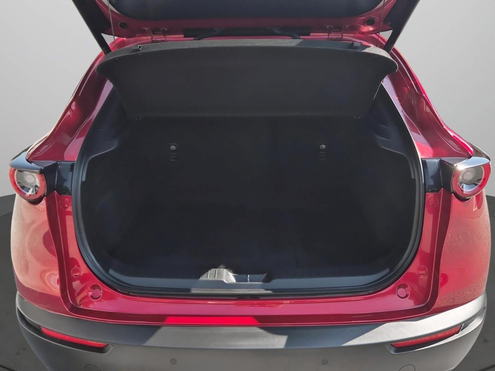 MAZDA CX-30 SKYACTIV-X 186 M Hybrid Homura AWD AT-image-12
