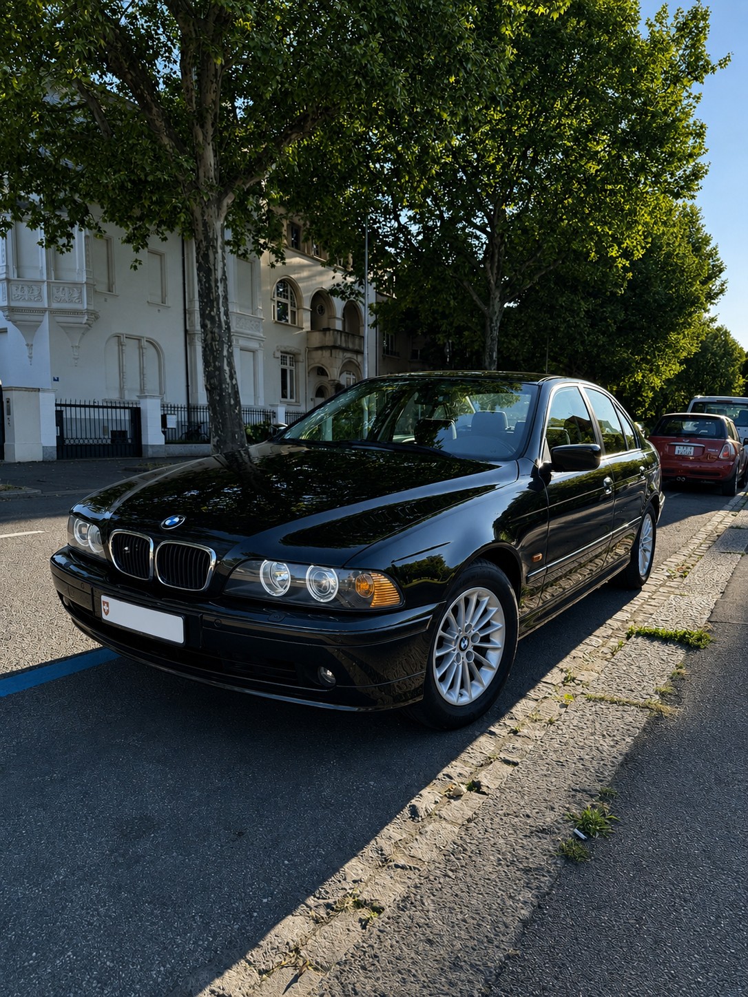 BMW 525i 24V ABS dAiB