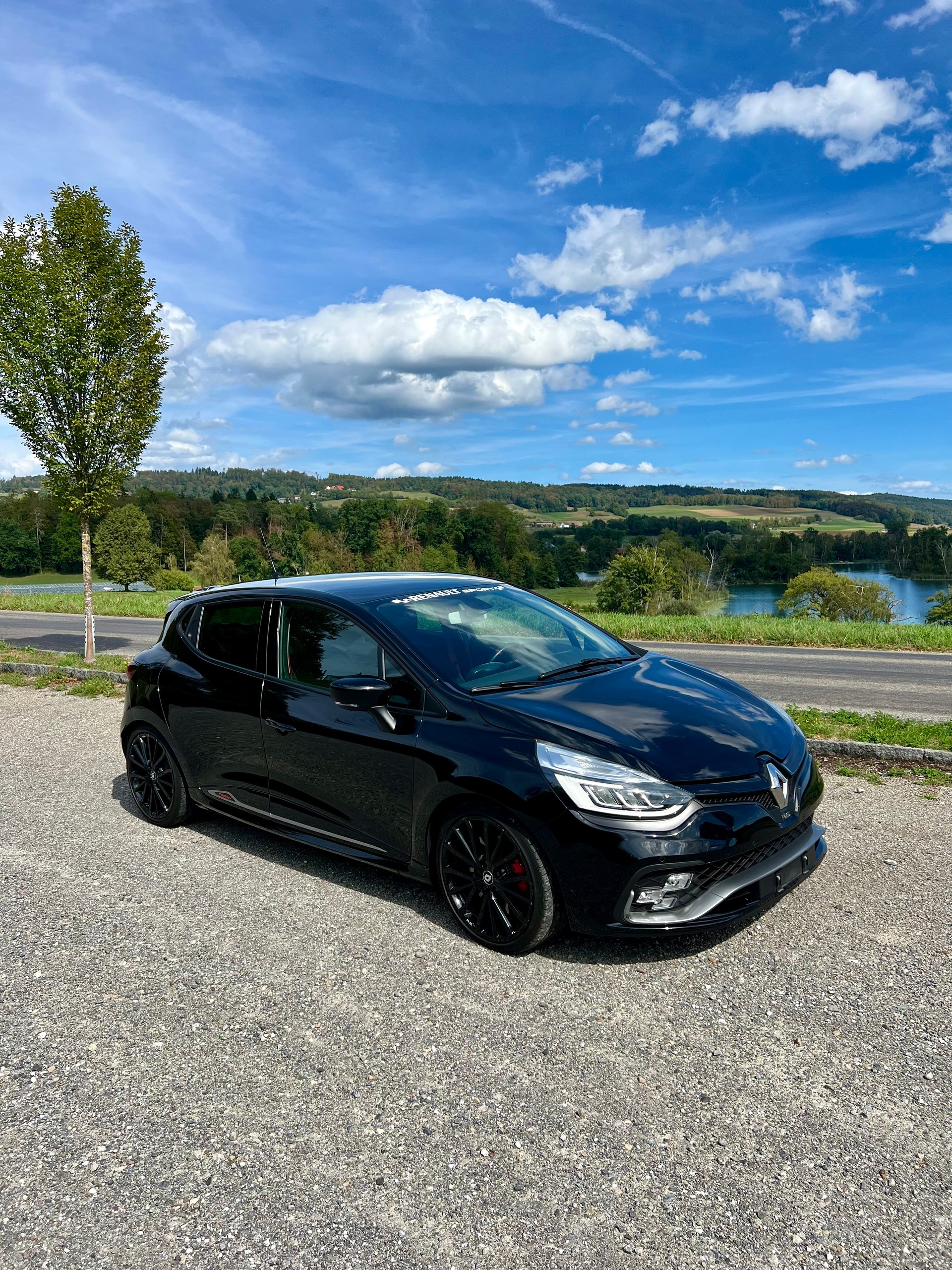 RENAULT 1.6 T RS 220 Trophy S/S