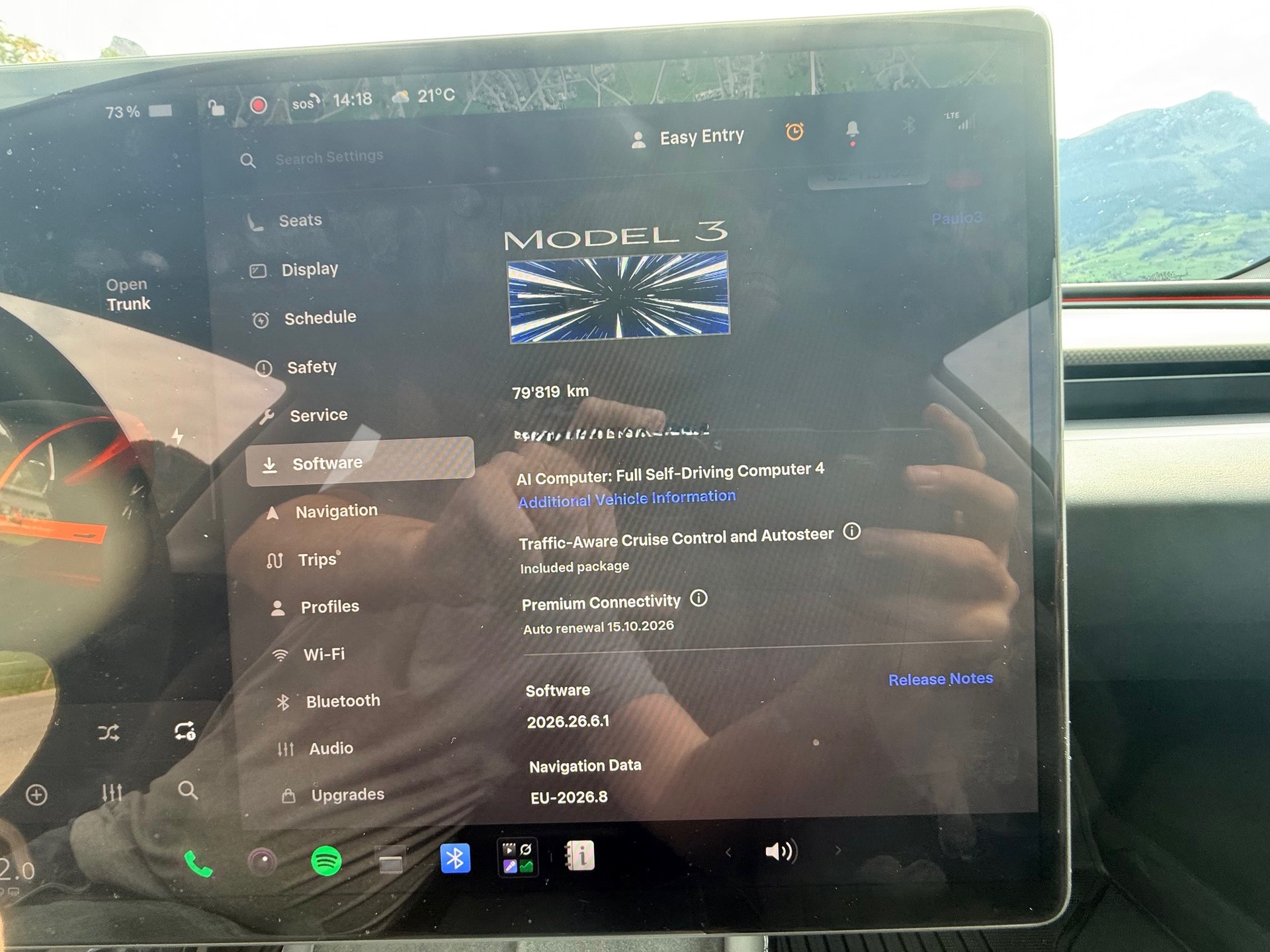 TESLA Model 3 Performance-image-11