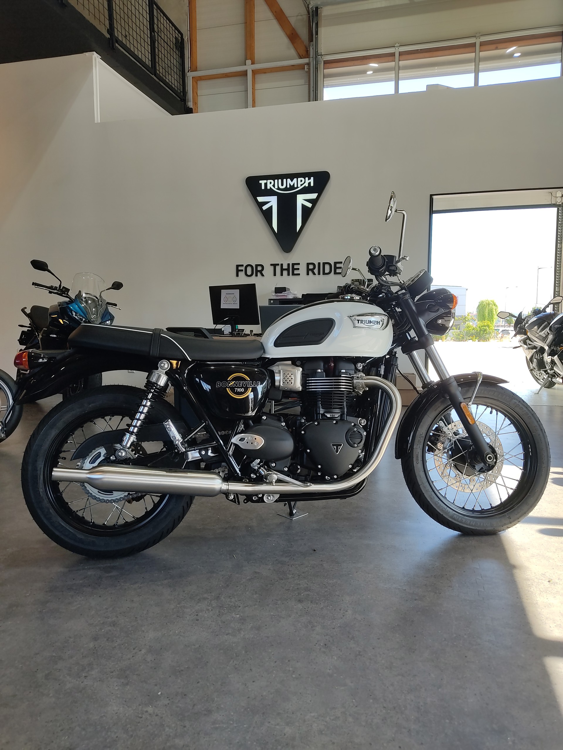 TRIUMPH Bonneville 900 T 100-image-1