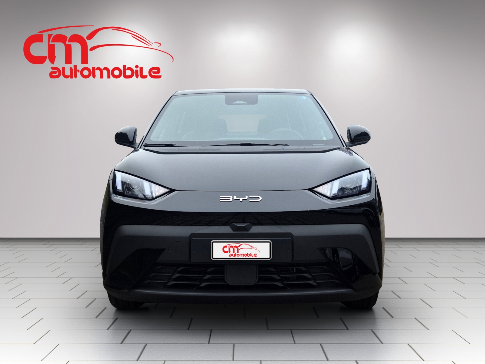 BYD Dolphin Surf 43 kWh Boost-image-9