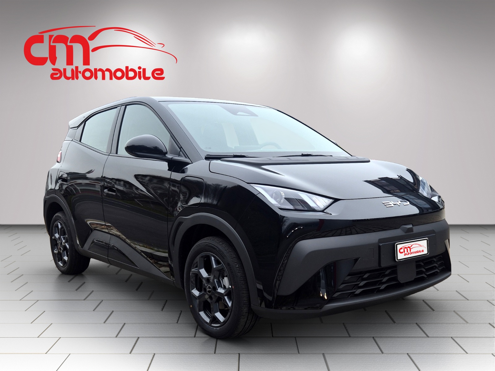 BYD Dolphin Surf 43 kWh Boost-image-8