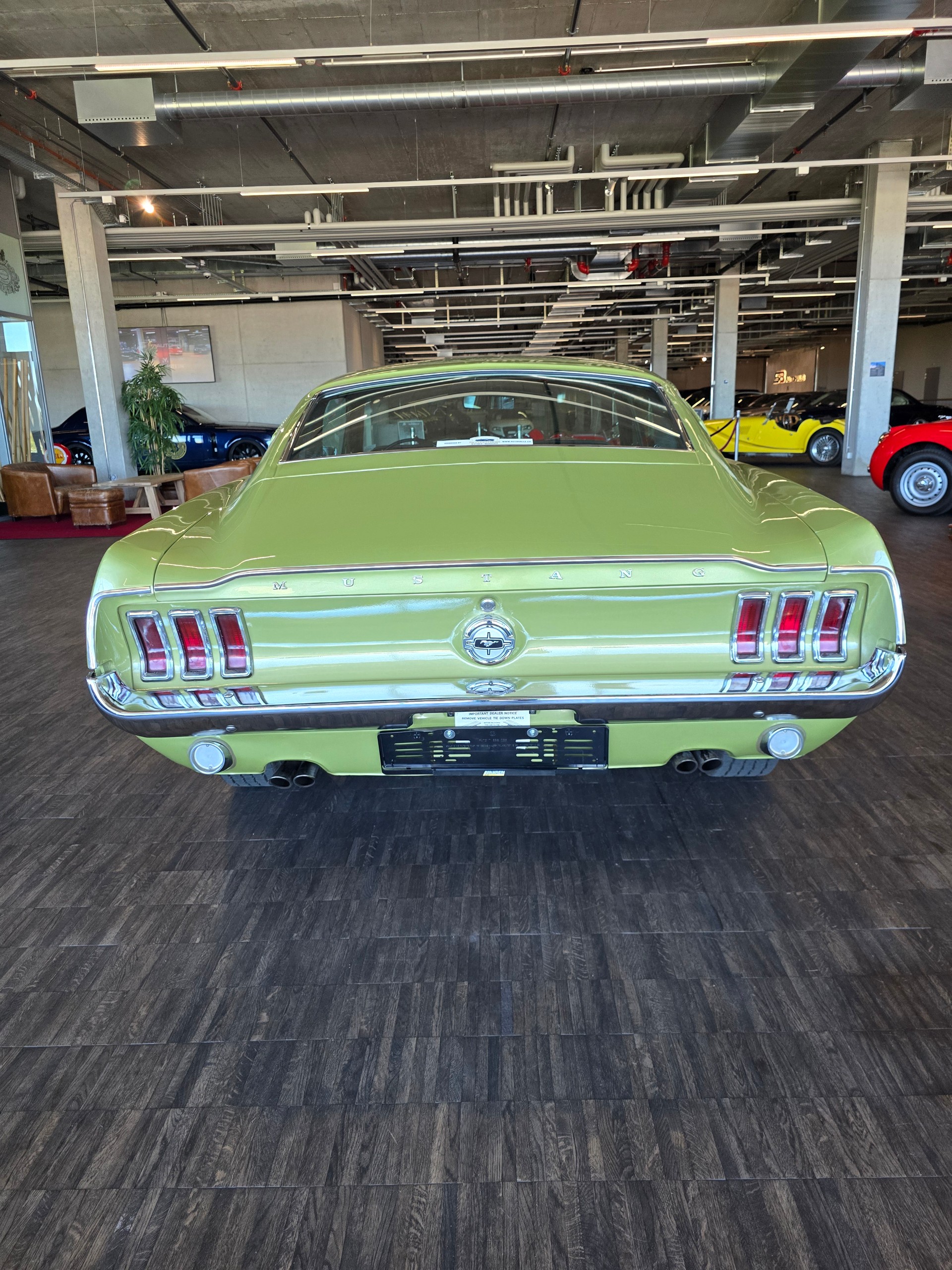 FORD Fastback GTA-showroom-element-1