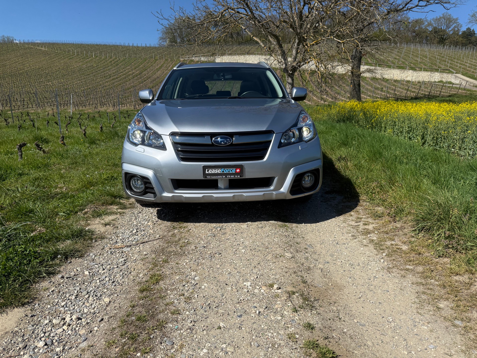 SUBARU Outback 2.5i Limited AWD Lineartronic-image-2
