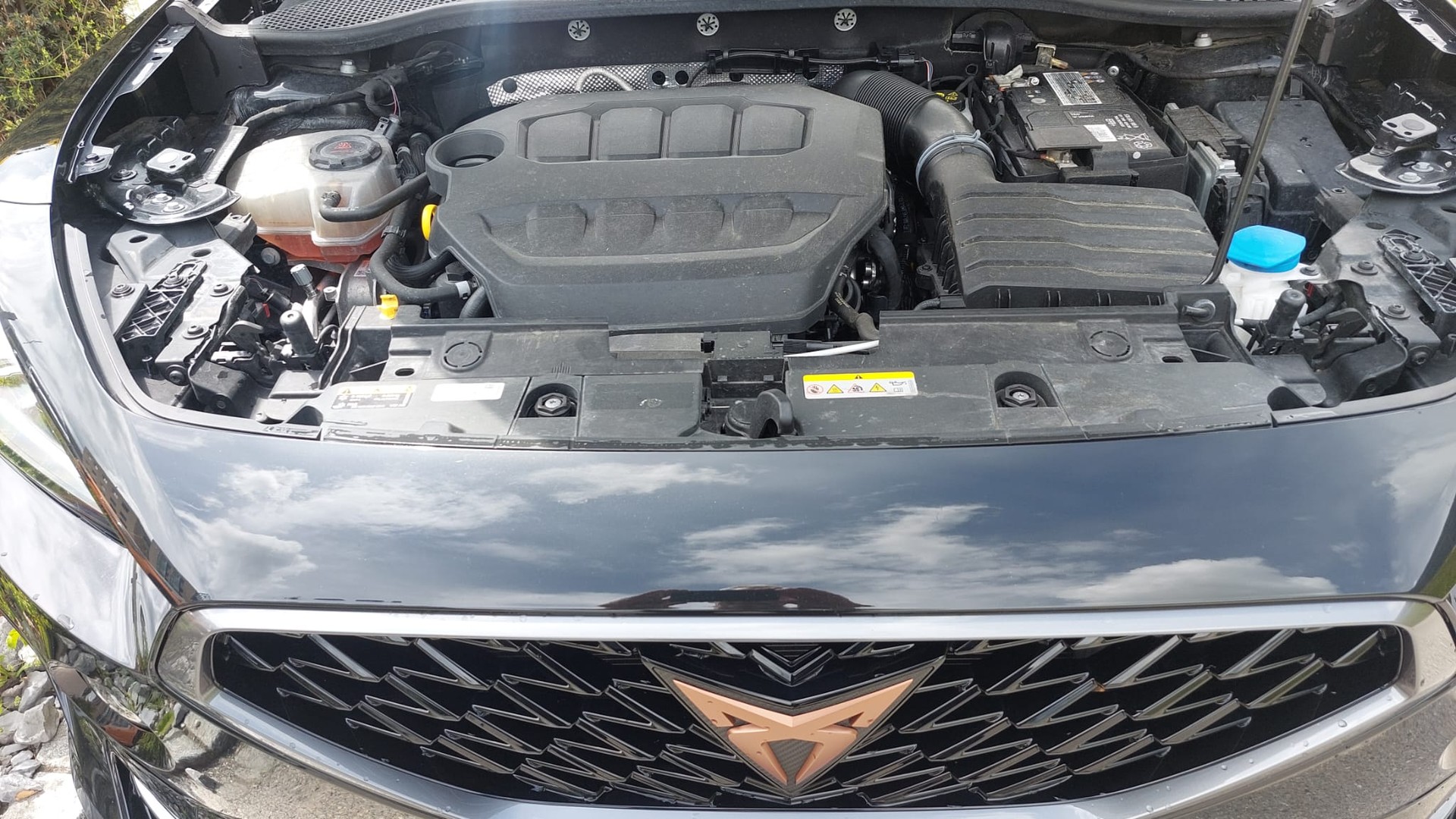 CUPRA Formentor 2.0TSI VZ 4x4 mit AHKupplung 1,8to-image-17