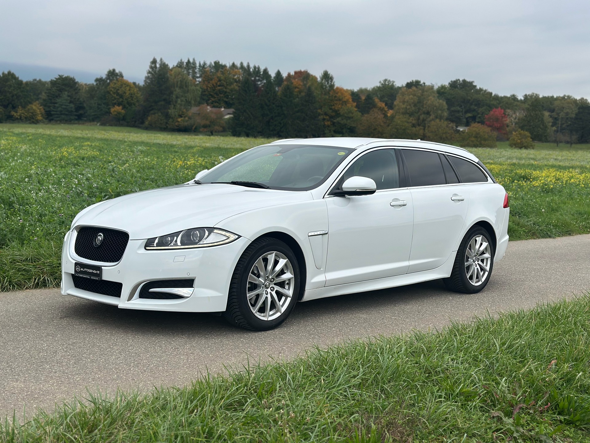 JAGUAR XF Sportbrake 3.0d V6 Luxury-image-3