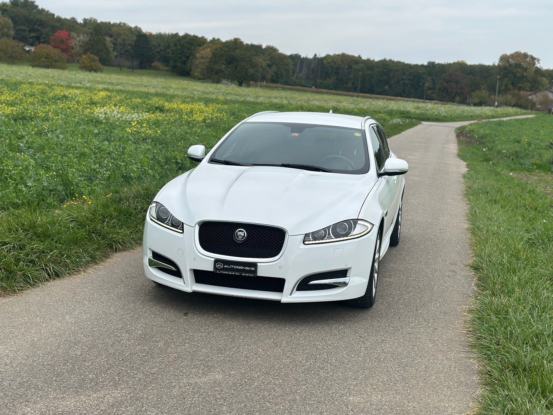 JAGUAR XF Sportbrake 3.0d V6 Luxury-image-1
