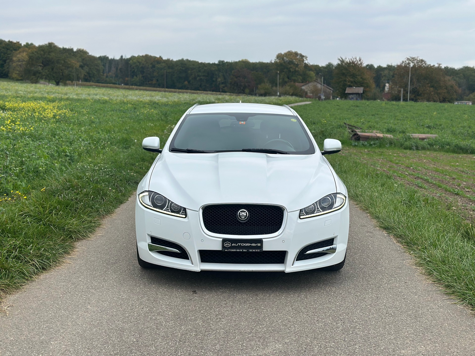 JAGUAR XF Sportbrake 3.0d V6 Luxury