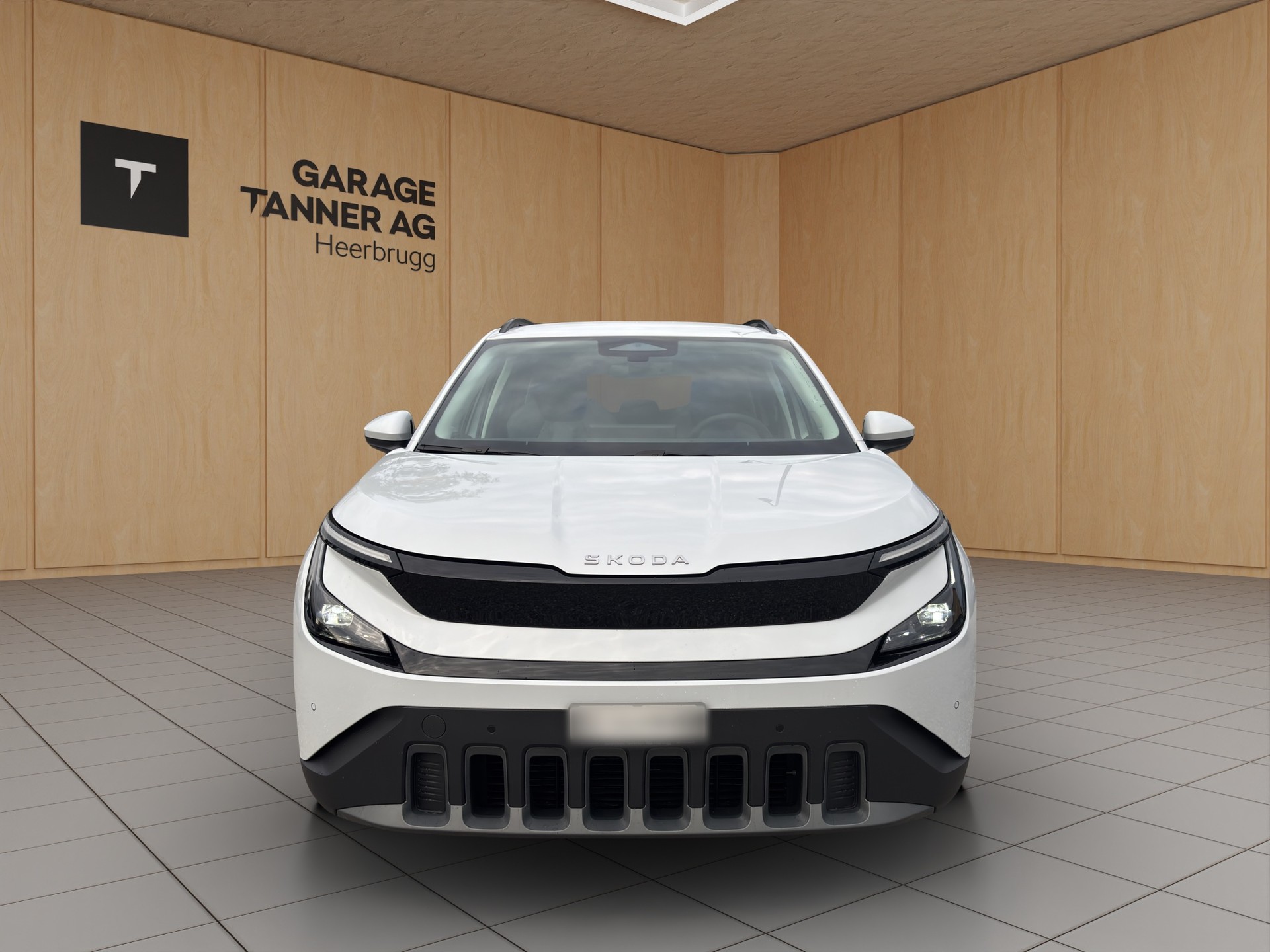SKODA Epiq 55 Selection-showroom-element-1