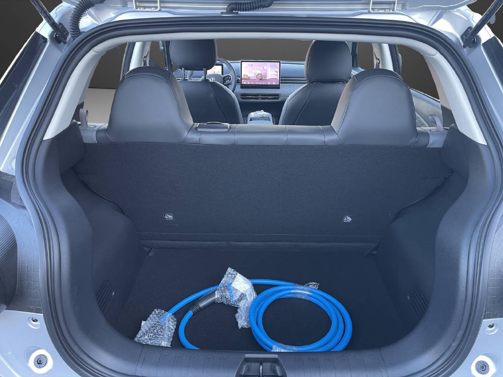 DONGFENG Box Electric-image-9