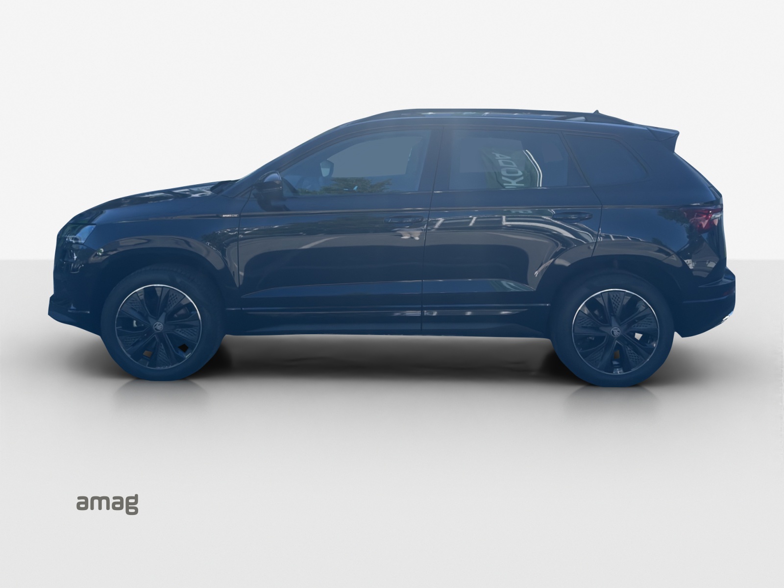 SKODA Karoq 2.0 TSI Dynamic Limited Edition 4x4 DSG-showroom-element-1