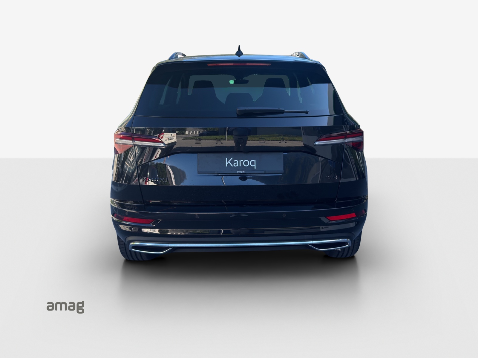 SKODA Karoq 2.0 TSI Dynamic Limited Edition 4x4 DSG-showroom-element-3