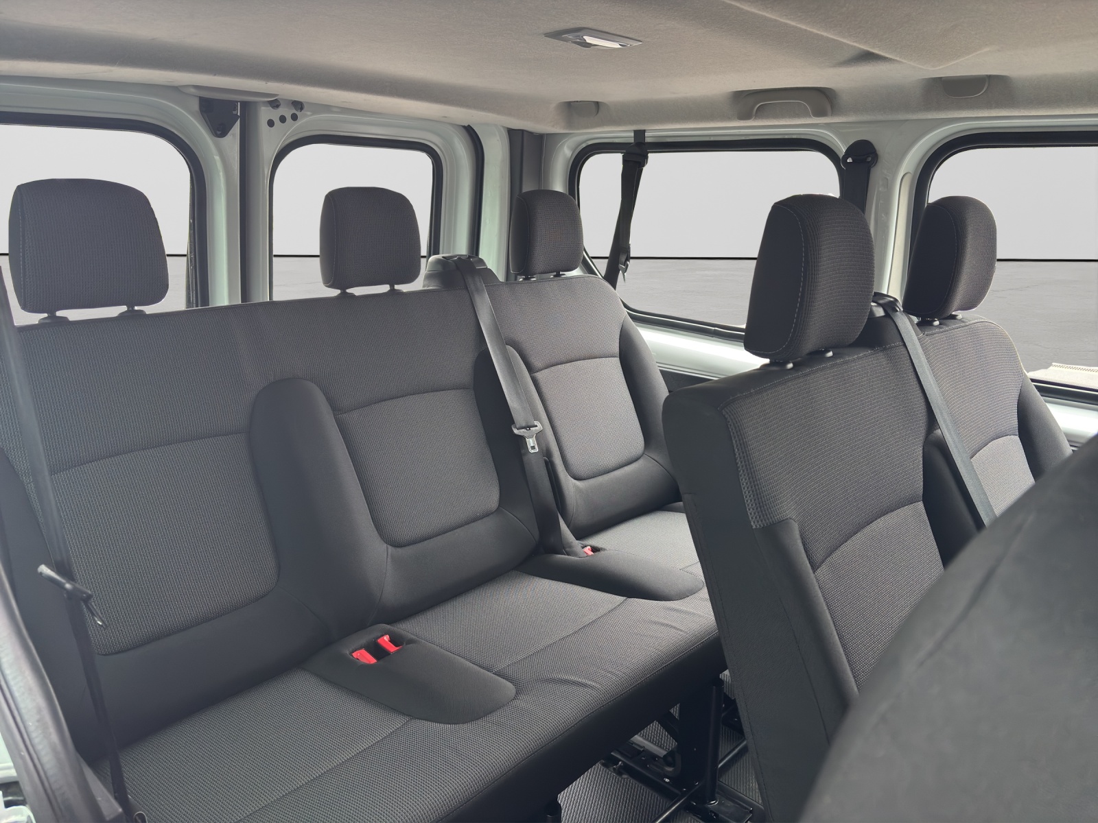 RENAULT Trafic Passenger 2.0 dCi Blue 110 Zen-image-5