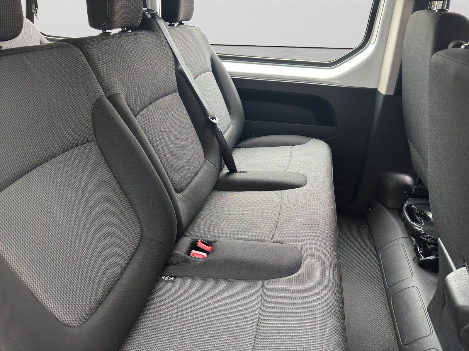 RENAULT Trafic Passenger 2.0 dCi Blue 110 Zen-image-4