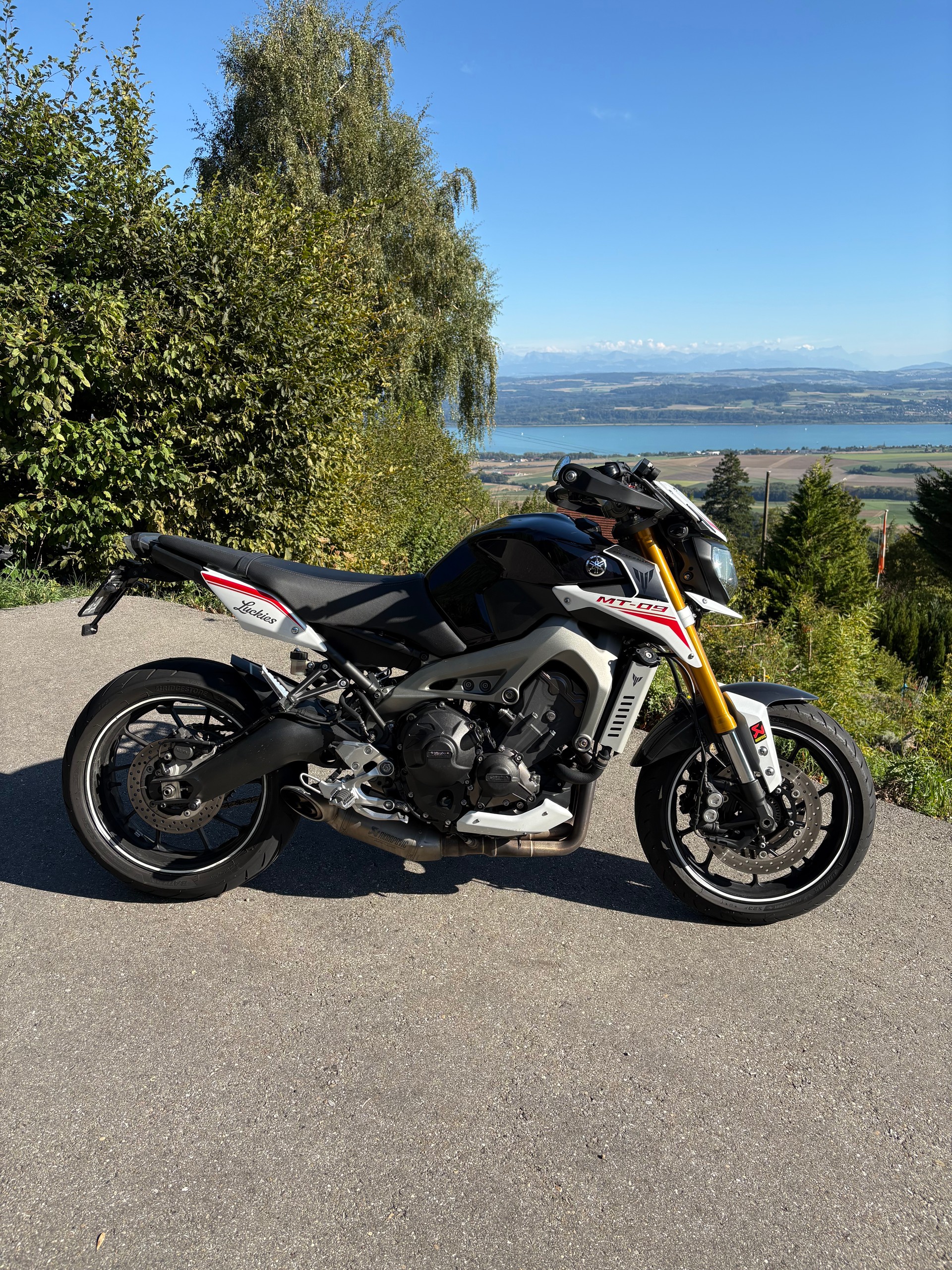 YAMAHA MT-09 ABS Street Rally-image-3