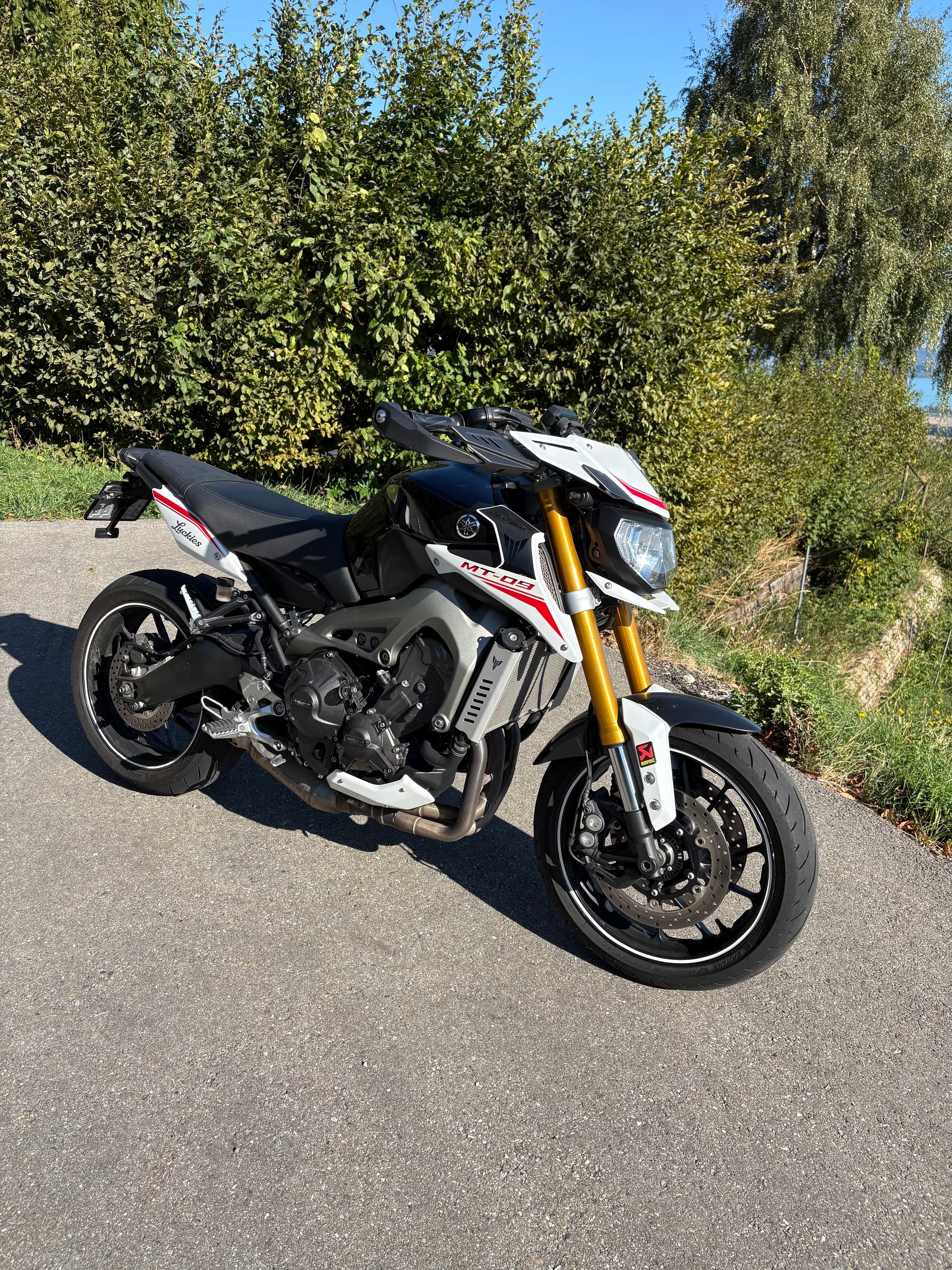 YAMAHA MT-09 ABS Street Rally-image-1