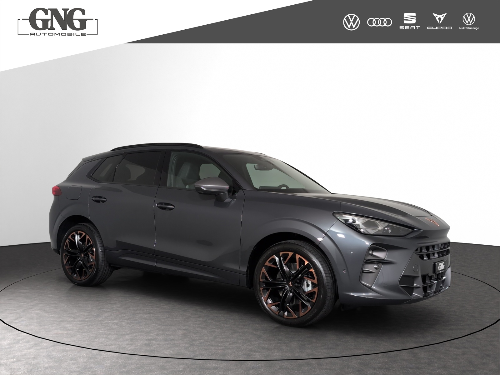 CUPRA Terramar 2.0 TSI Prime Edition DSG 4Drive-image-3