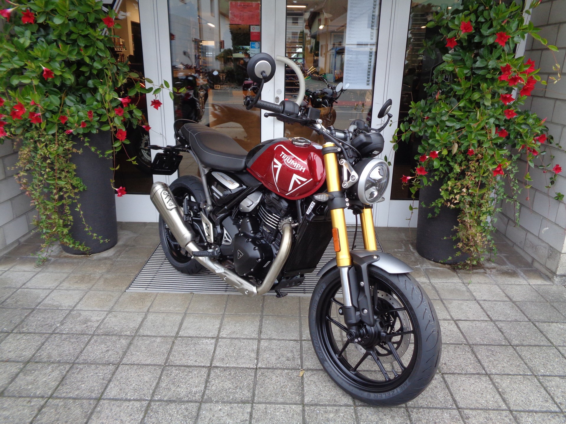 TRIUMPH Speed 400-image-2