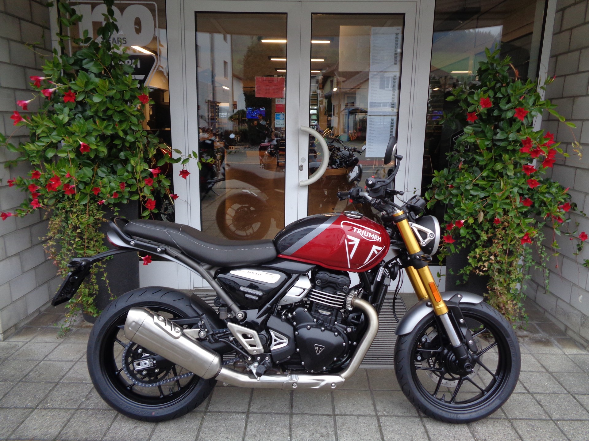 TRIUMPH Speed 400-image-1