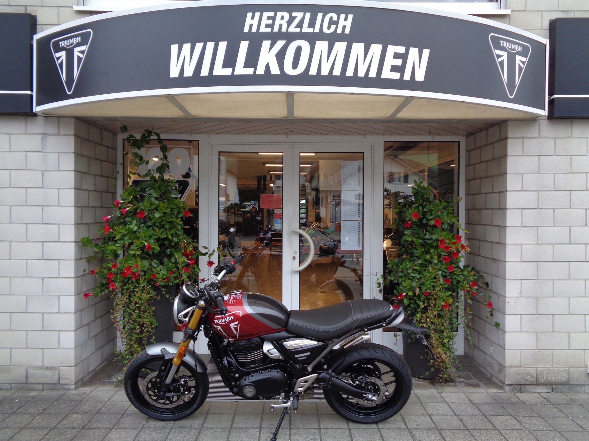 TRIUMPH Speed 400-image-3