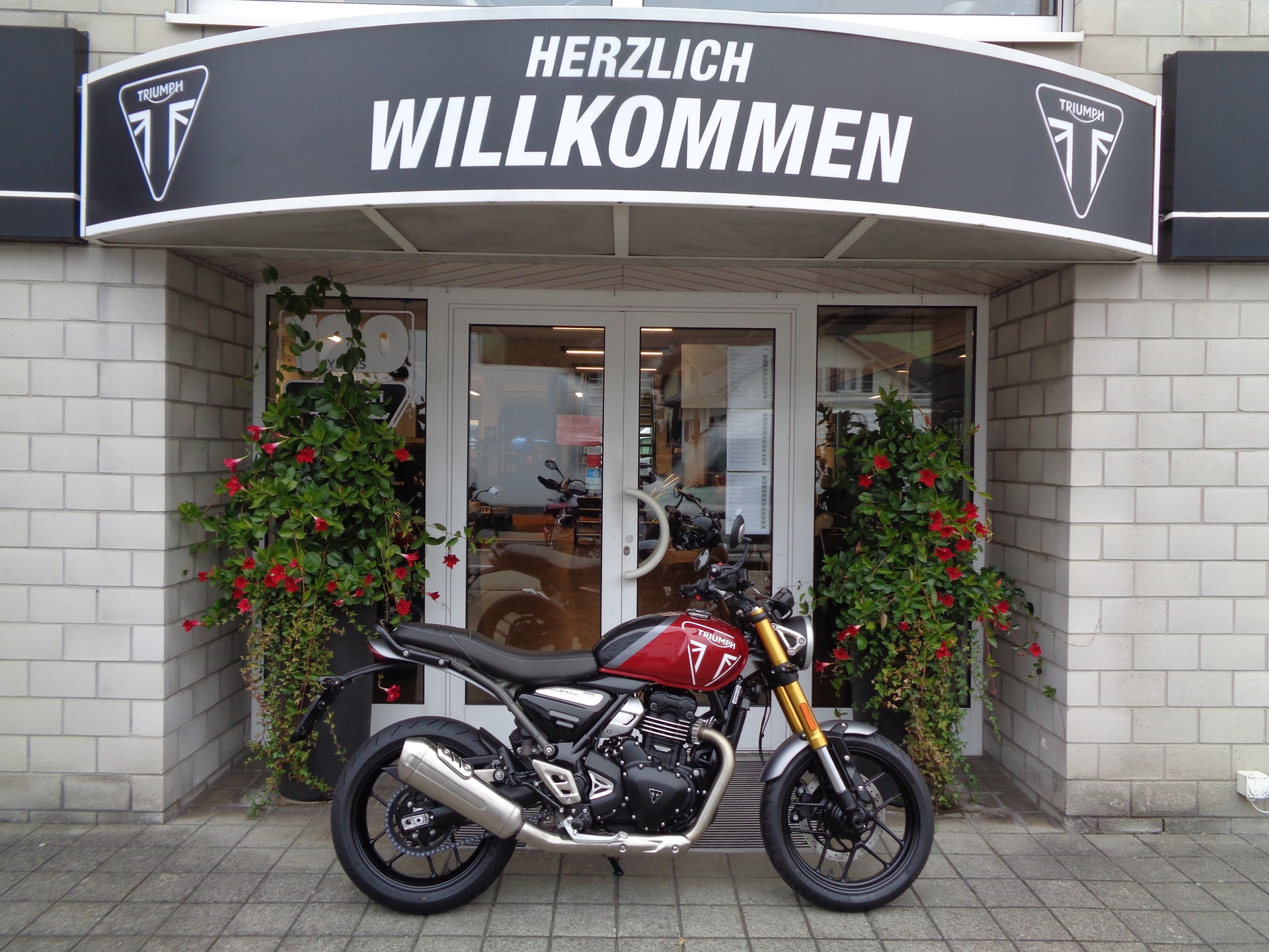TRIUMPH Speed 400-image-0