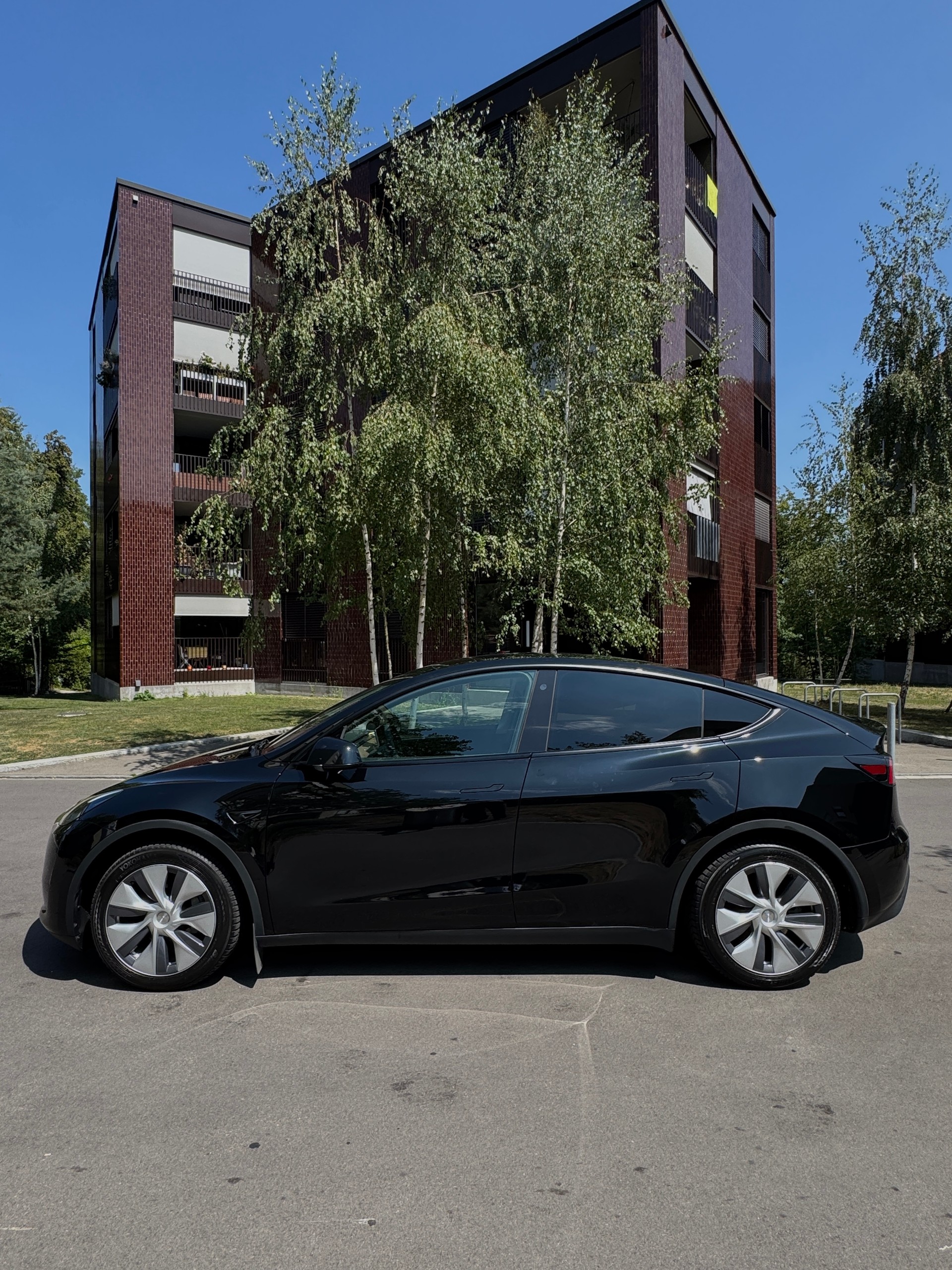 TESLA Basis-image-2