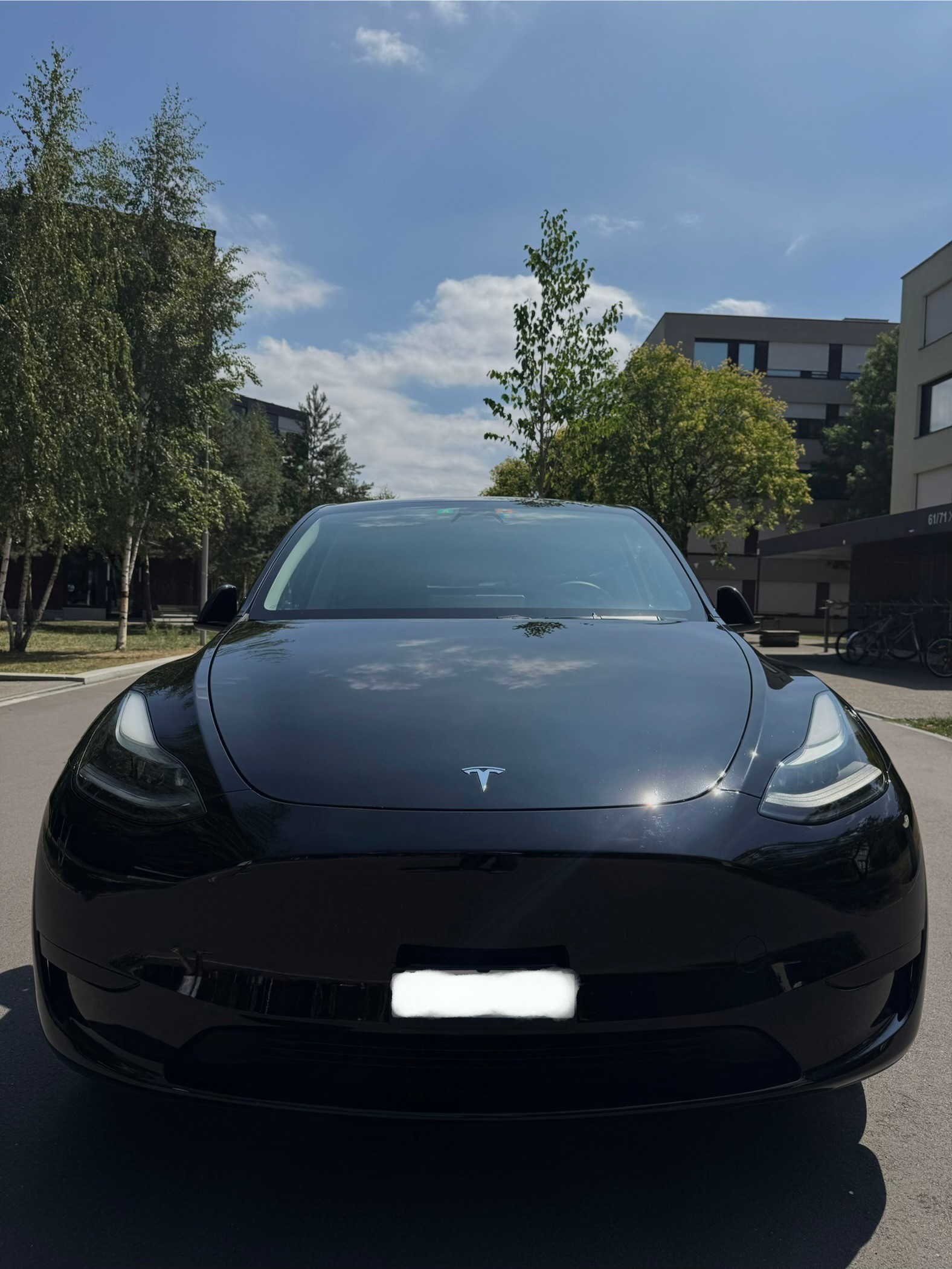 TESLA Basis