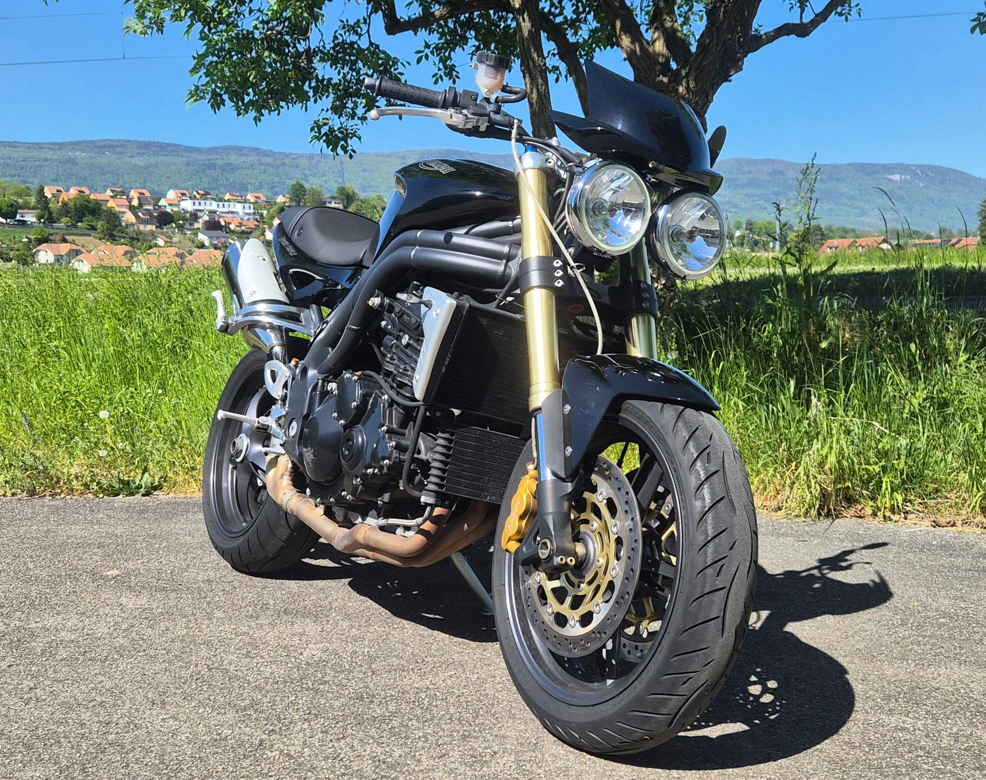 TRIUMPH Speed Triple 1050-image-3