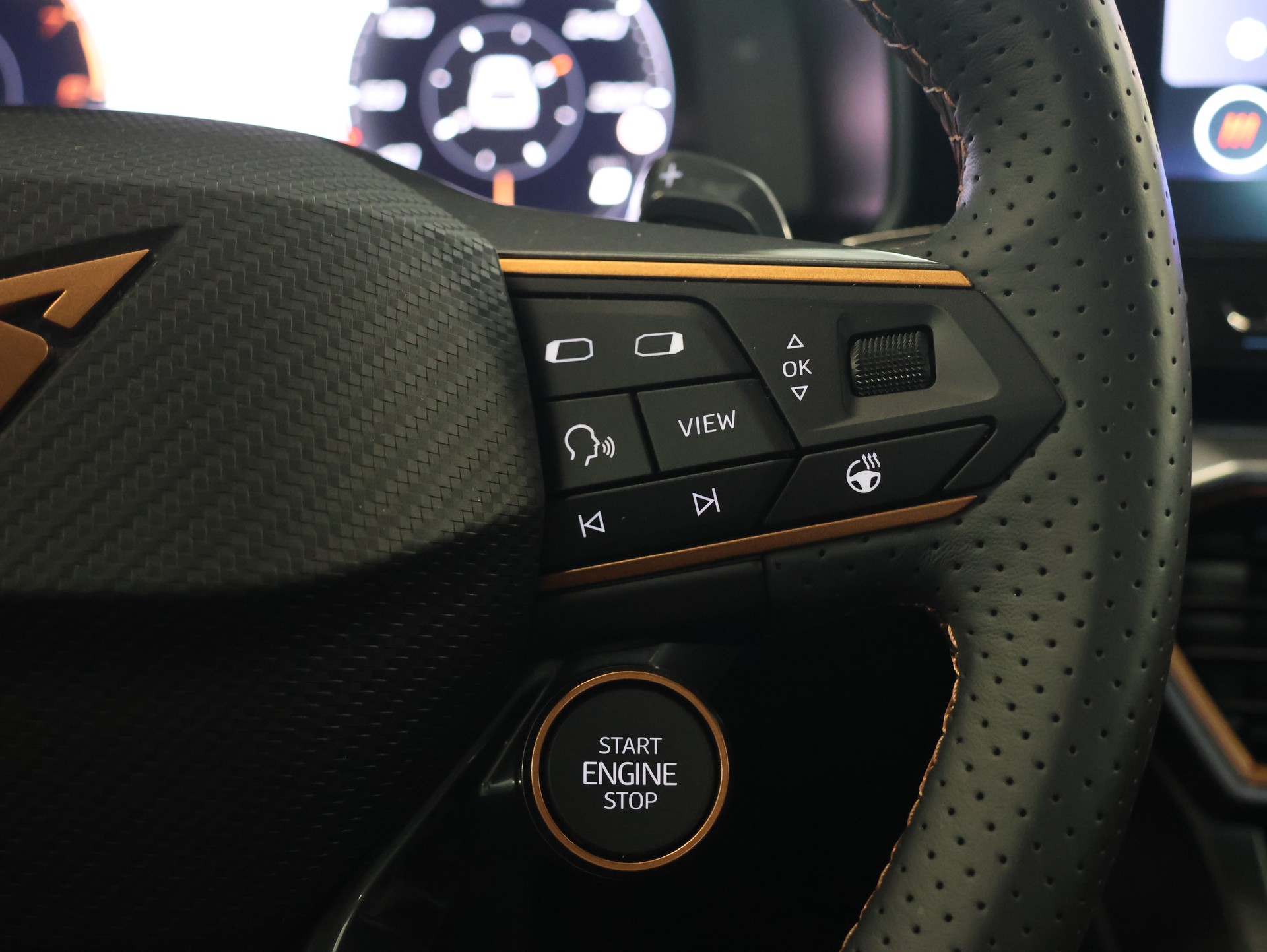 CUPRA Formentor 2.0TSI VZ 4Drive DSG *Rückfahrkamera* *Panoramadach* *Sitzheizung*-image-16
