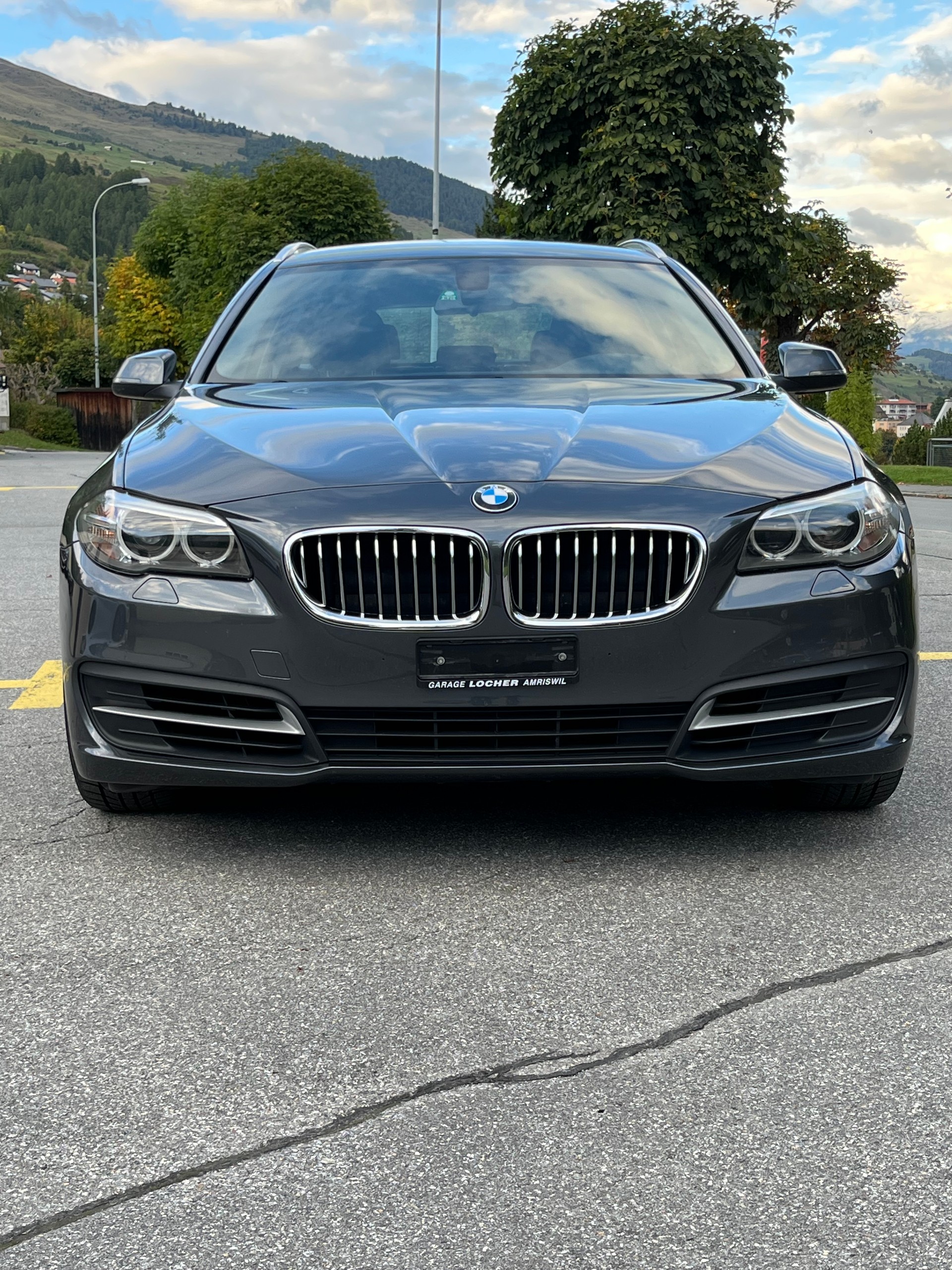 BMW 530 X Drive Steptronic-image-4