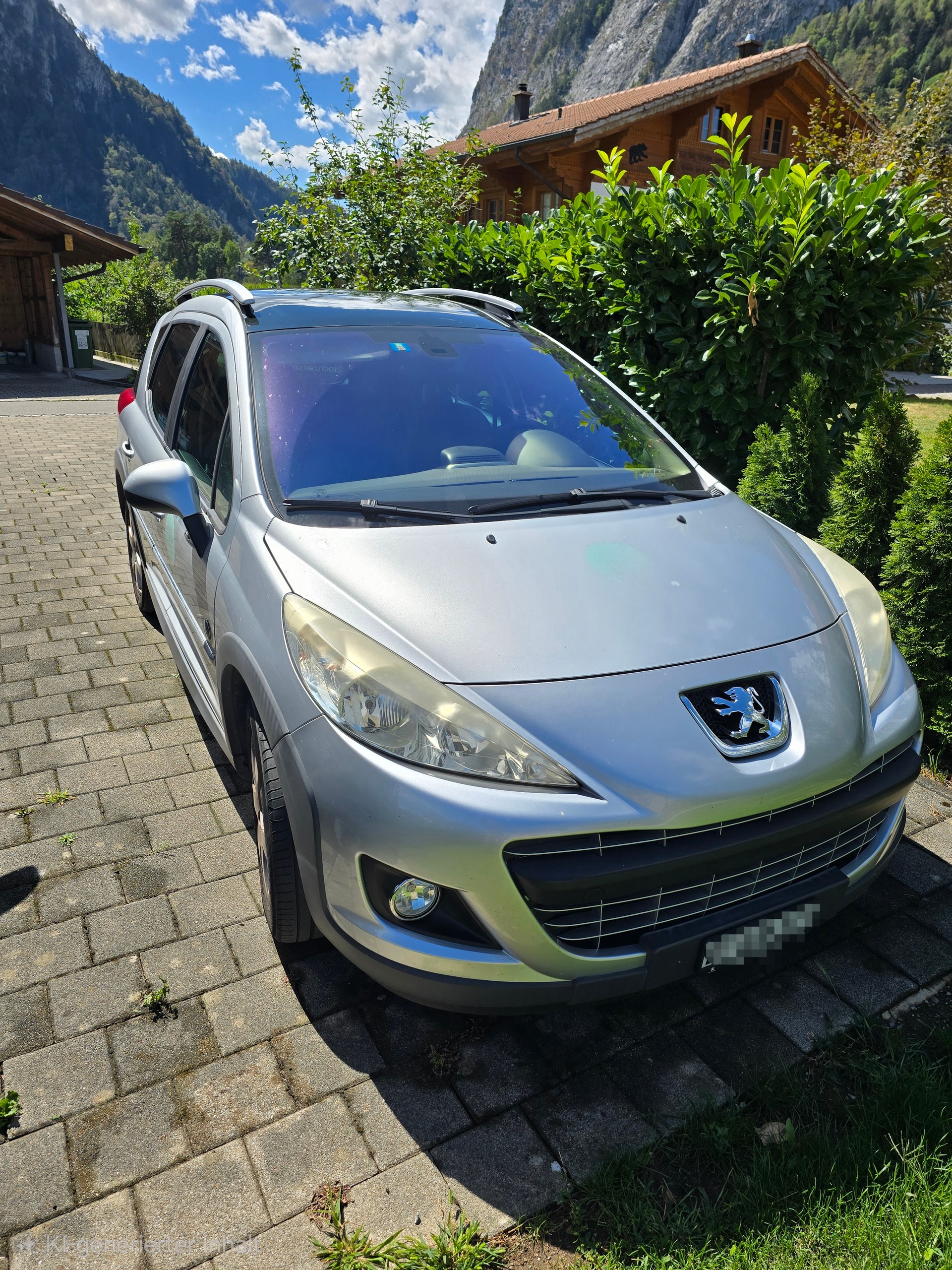 PEUGEOT 207
