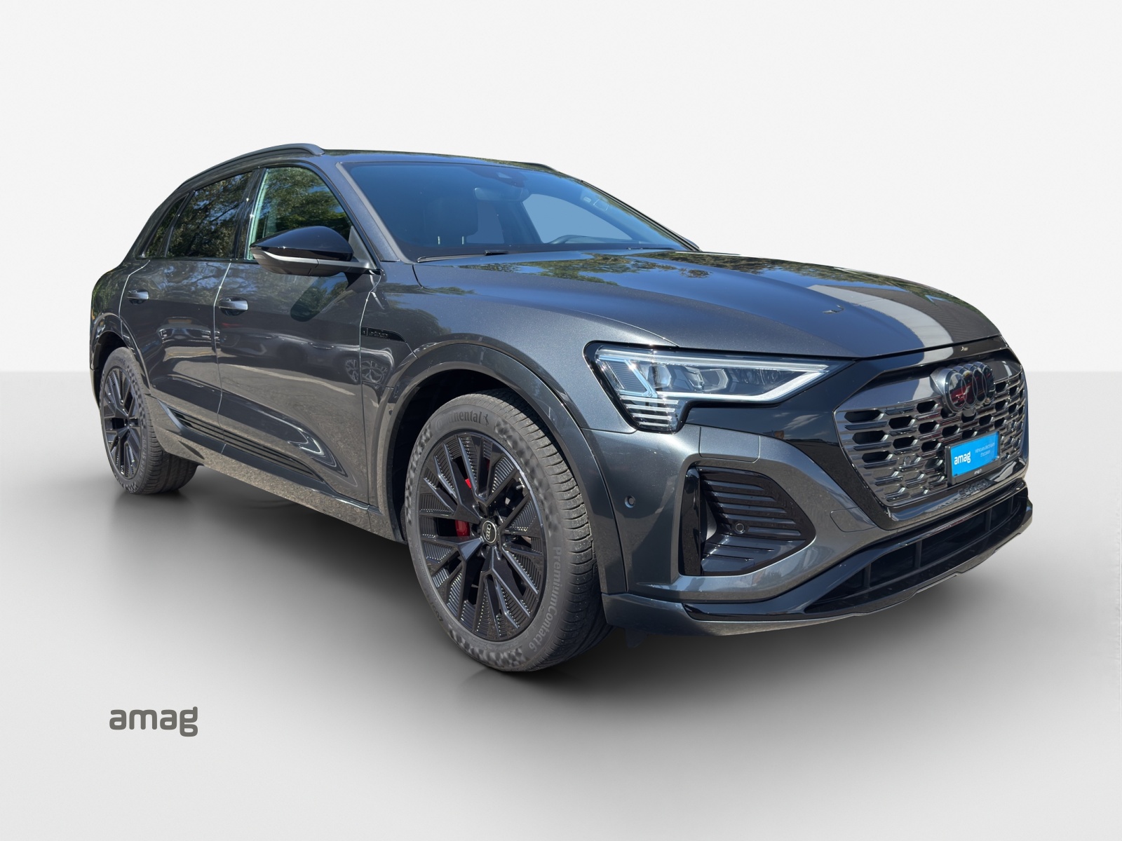 AUDI Q8 50 e-tron Black Edition quattro-image-6