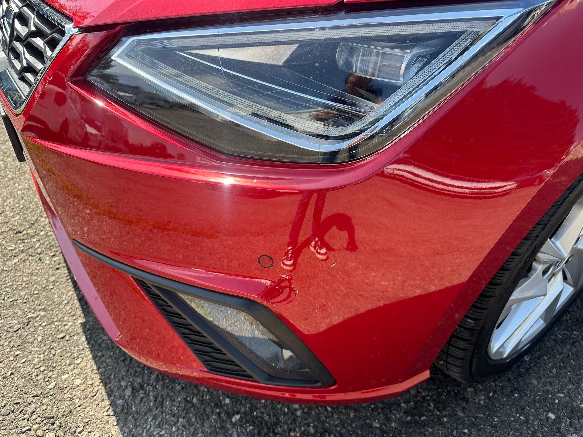 SEAT Ibiza 1.0 EcoTSI Hola FR DSG-image-5