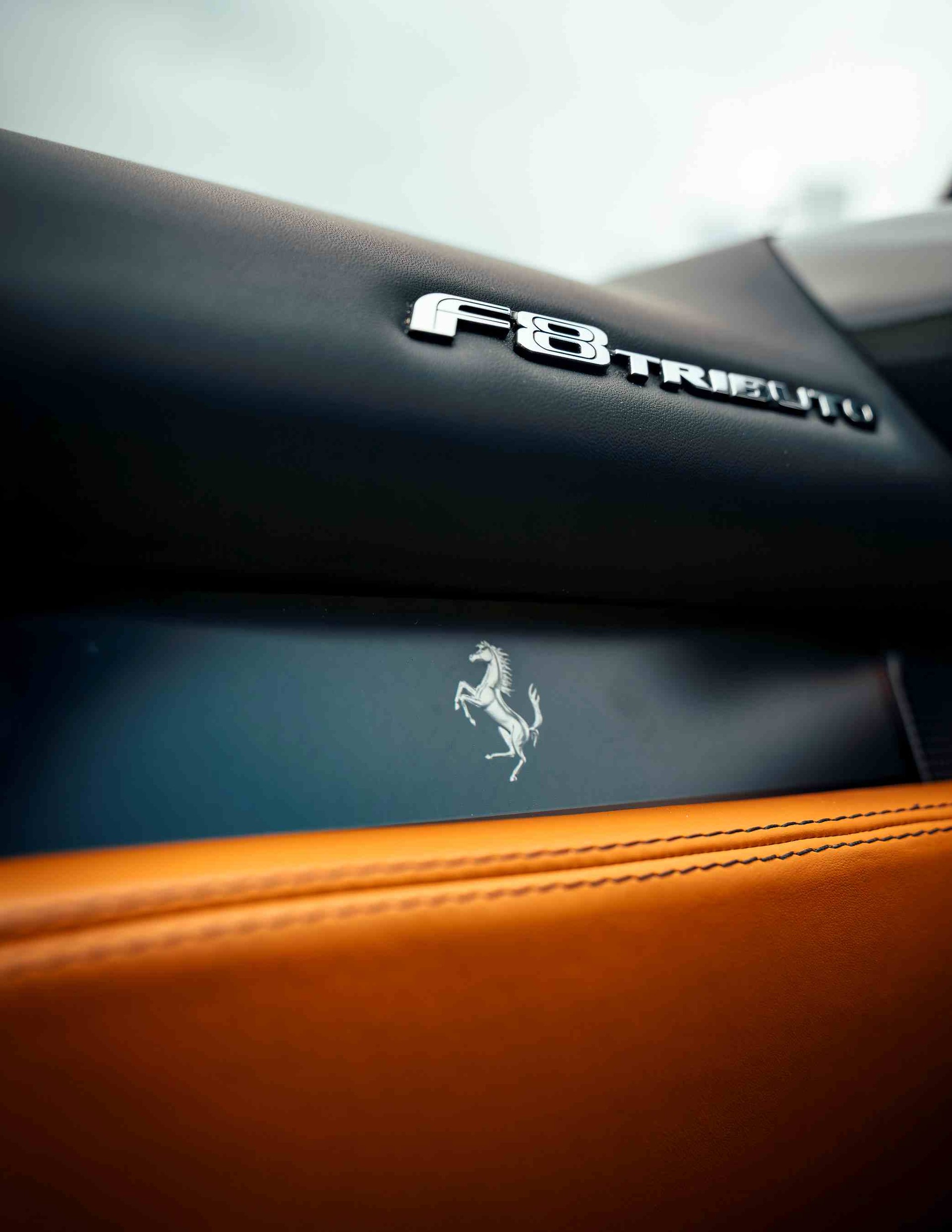 FERRARI F8 Tributo-image-14