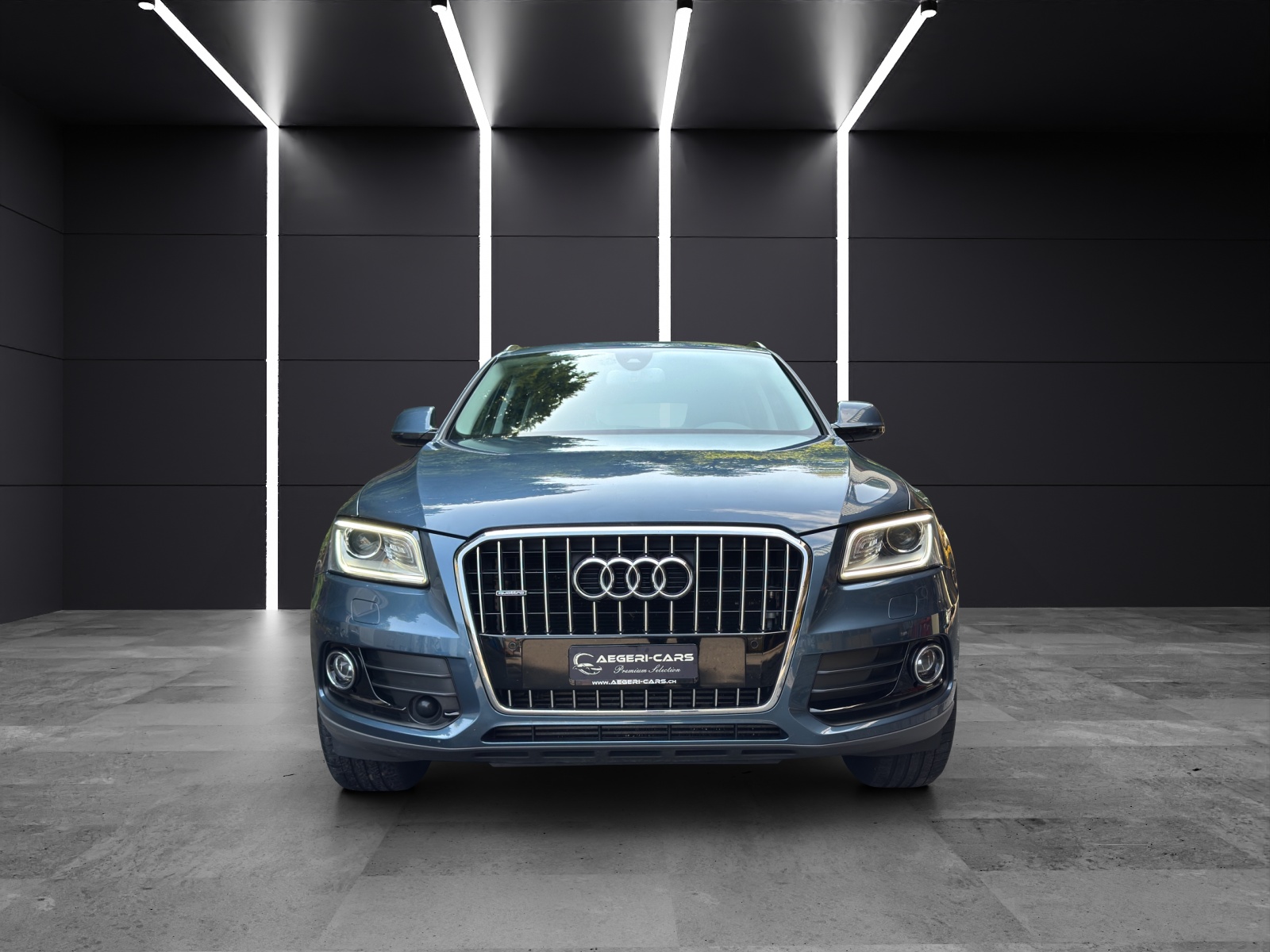 AUDI Q5 3.0 TDI clean quattro S-tronic-showroom-element-2