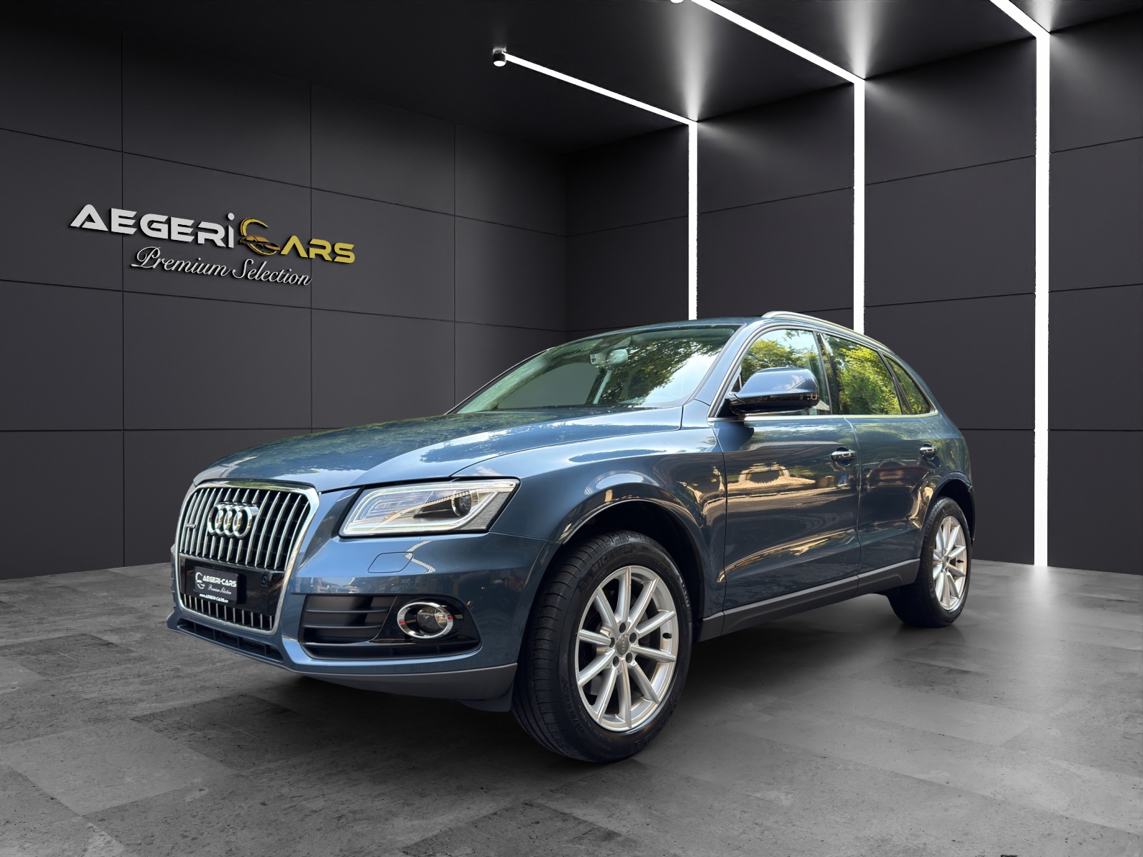 AUDI Q5 3.0 TDI clean quattro S-tronic-showroom-element-1