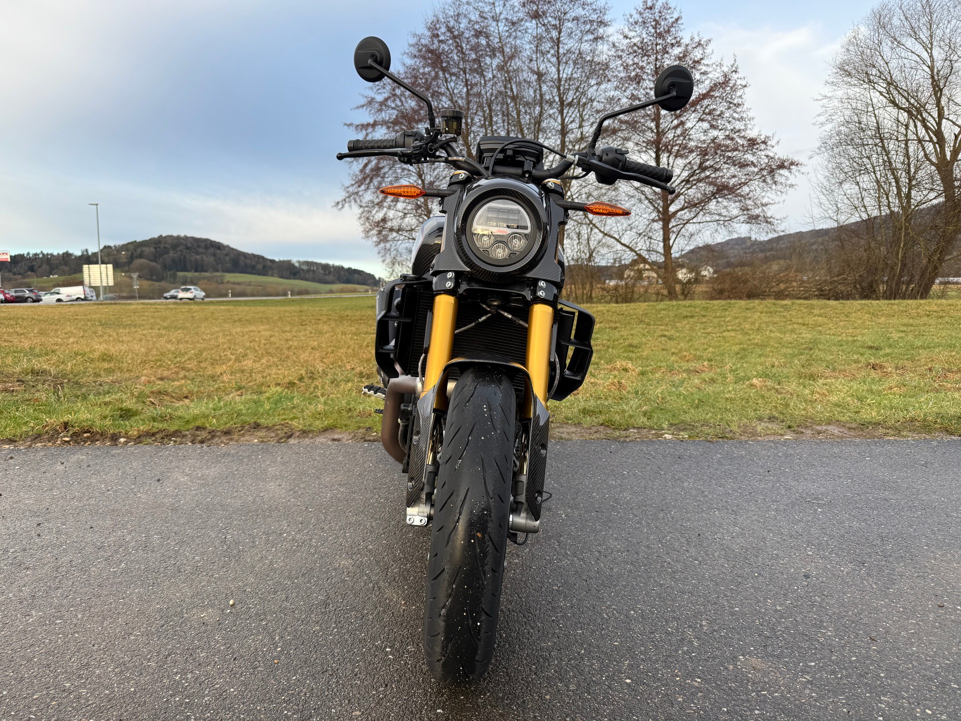 INDIAN FTR 1200 Z R Carbon-image-7