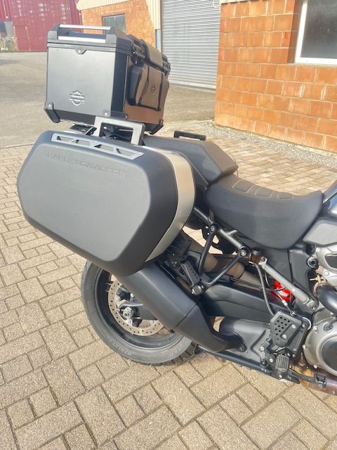 HARLEY-DAVIDSON RA Pan America 1250 Special-image-2