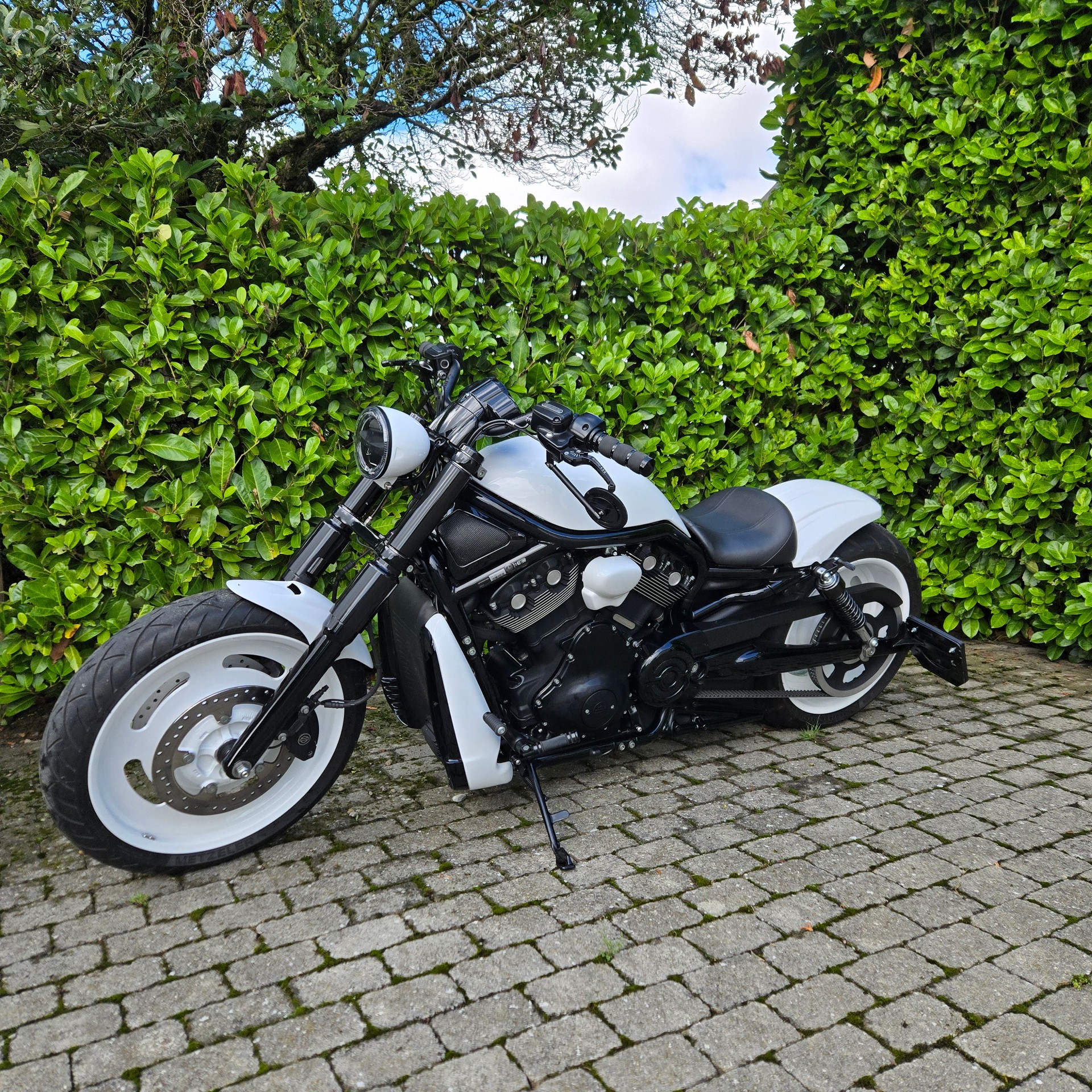 HARLEY-DAVIDSON VRSCDX Night Rod Special ABS-image-0