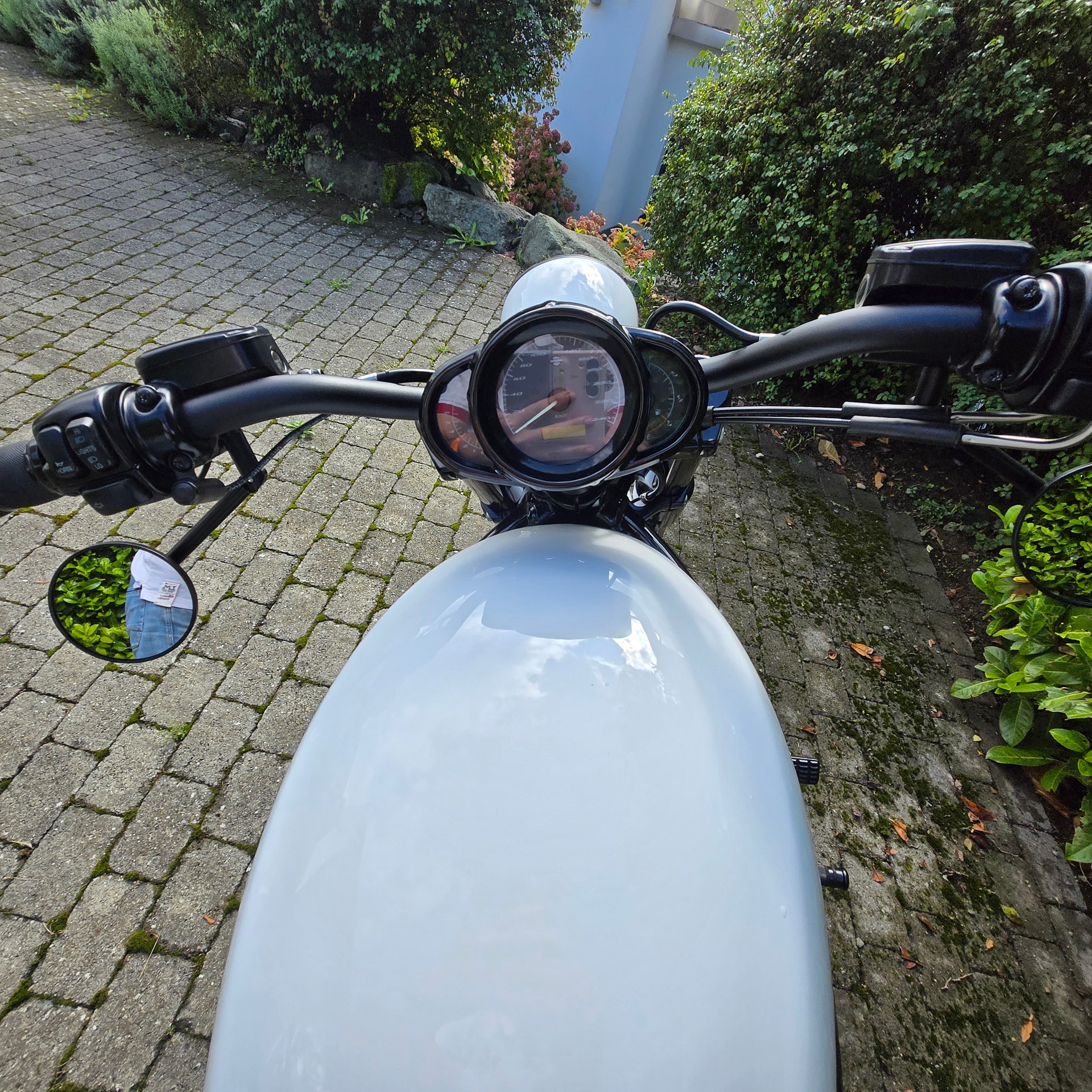 HARLEY-DAVIDSON VRSCDX Night Rod Special ABS-image-1