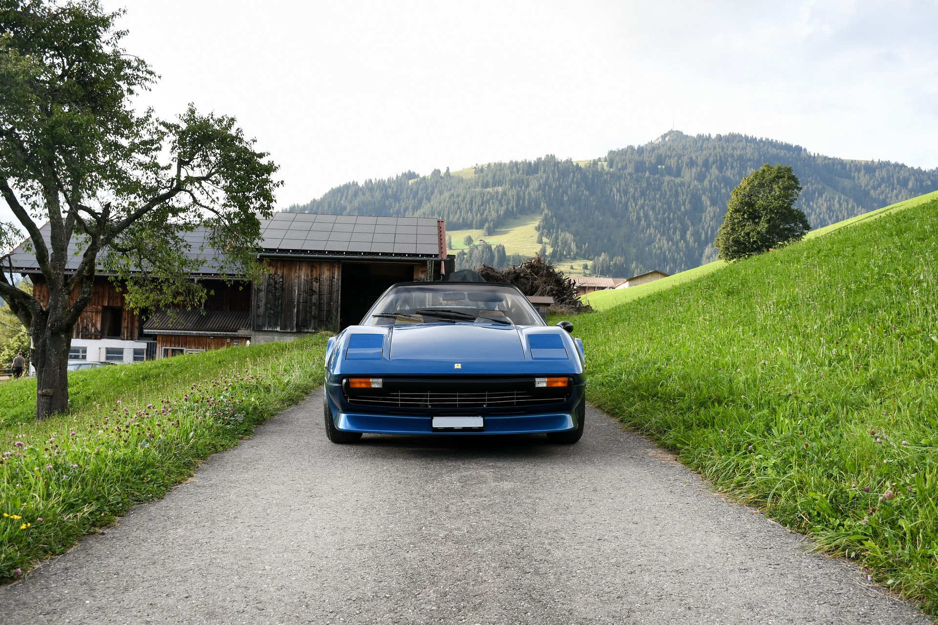 FERRARI GTS-image-2