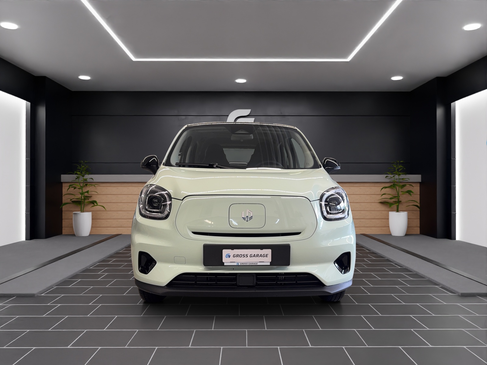 LEAPMOTOR T03 37kWh-showroom-element-1