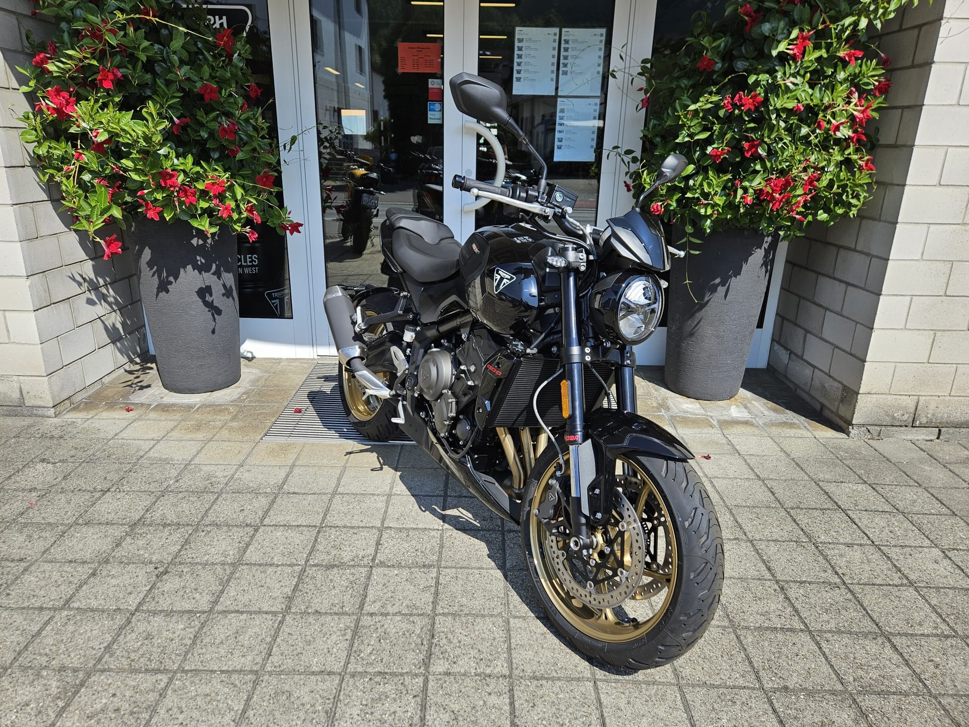 TRIUMPH Trident 800-image-2