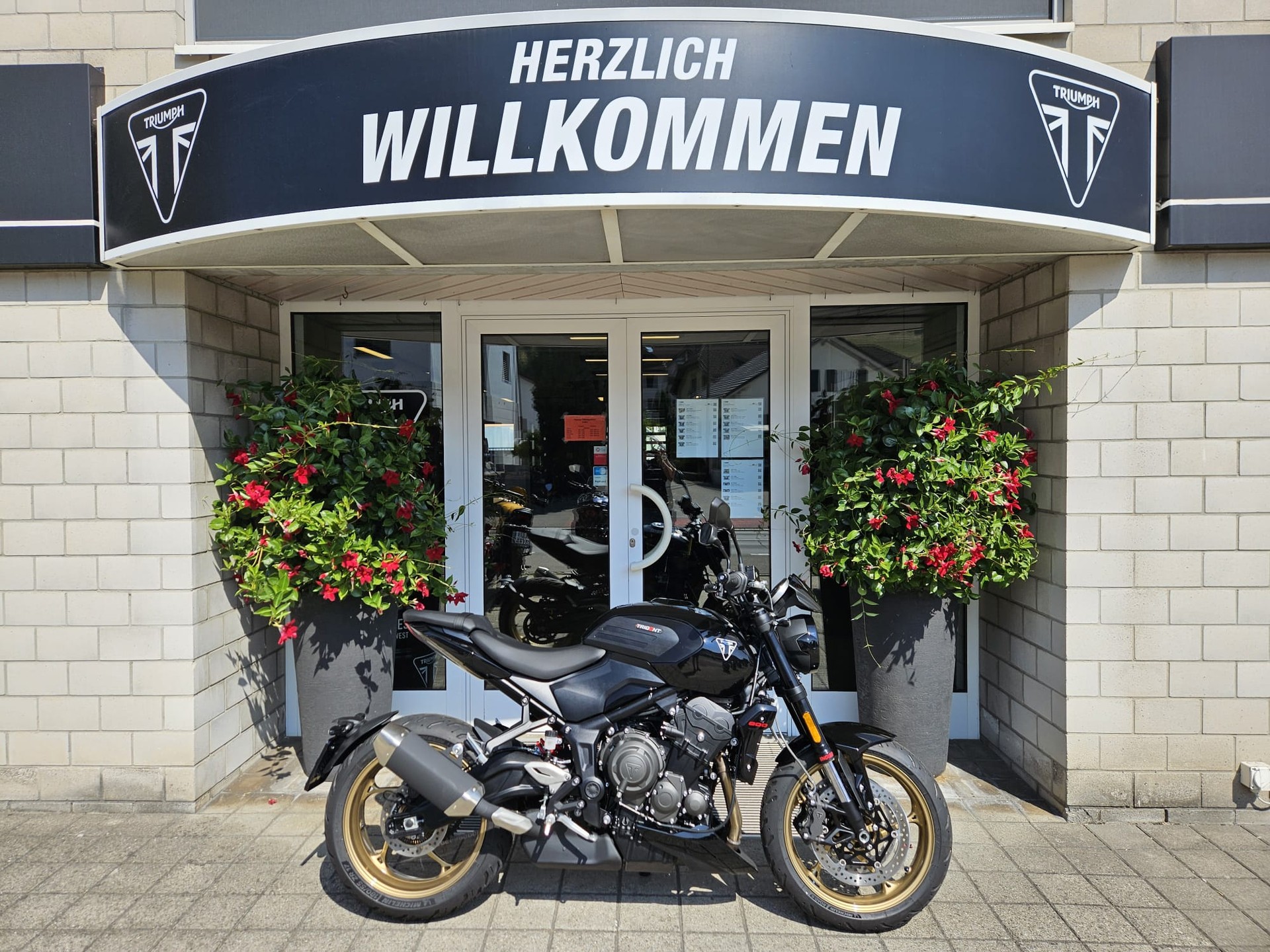 TRIUMPH Trident 800-image-0
