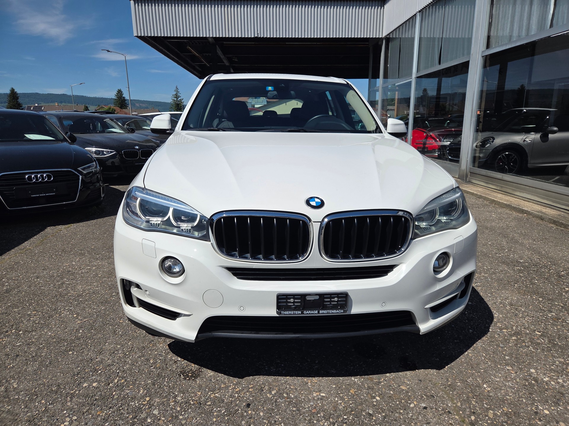 BMW X5 xDrive 30d Steptronic-showroom-element-2