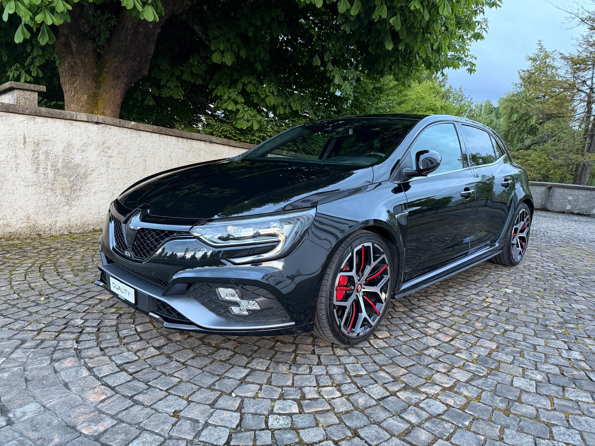 RENAULT Mégane RS 280 Handschalter / Ab MFK / Service gepfleft / 36 Monate Garantie exkl. / 8 Fach/LED/Sportsitze/BOSE /Rückfahrkamera