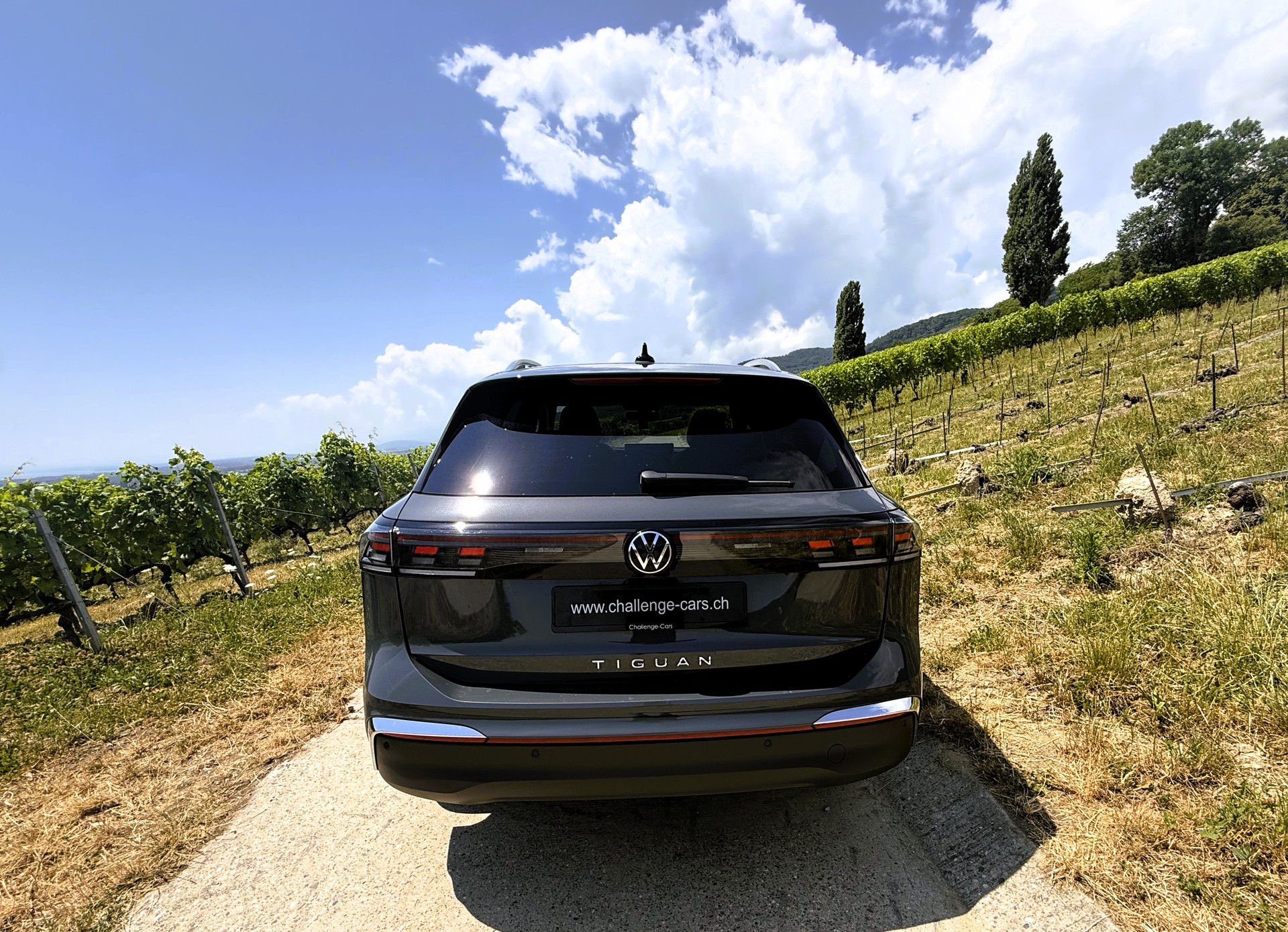 VW Tiguan 2.0 TDI SCR Elegance 4Motion DSG-showroom-element-3